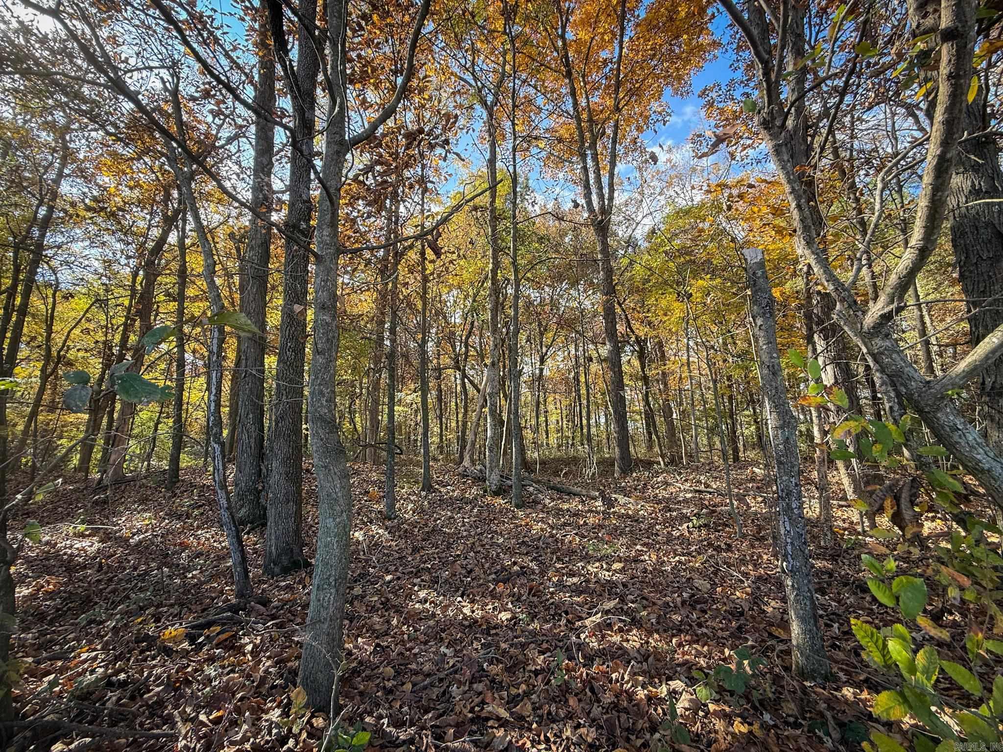  County Road 105  Hickory Ridge, AR