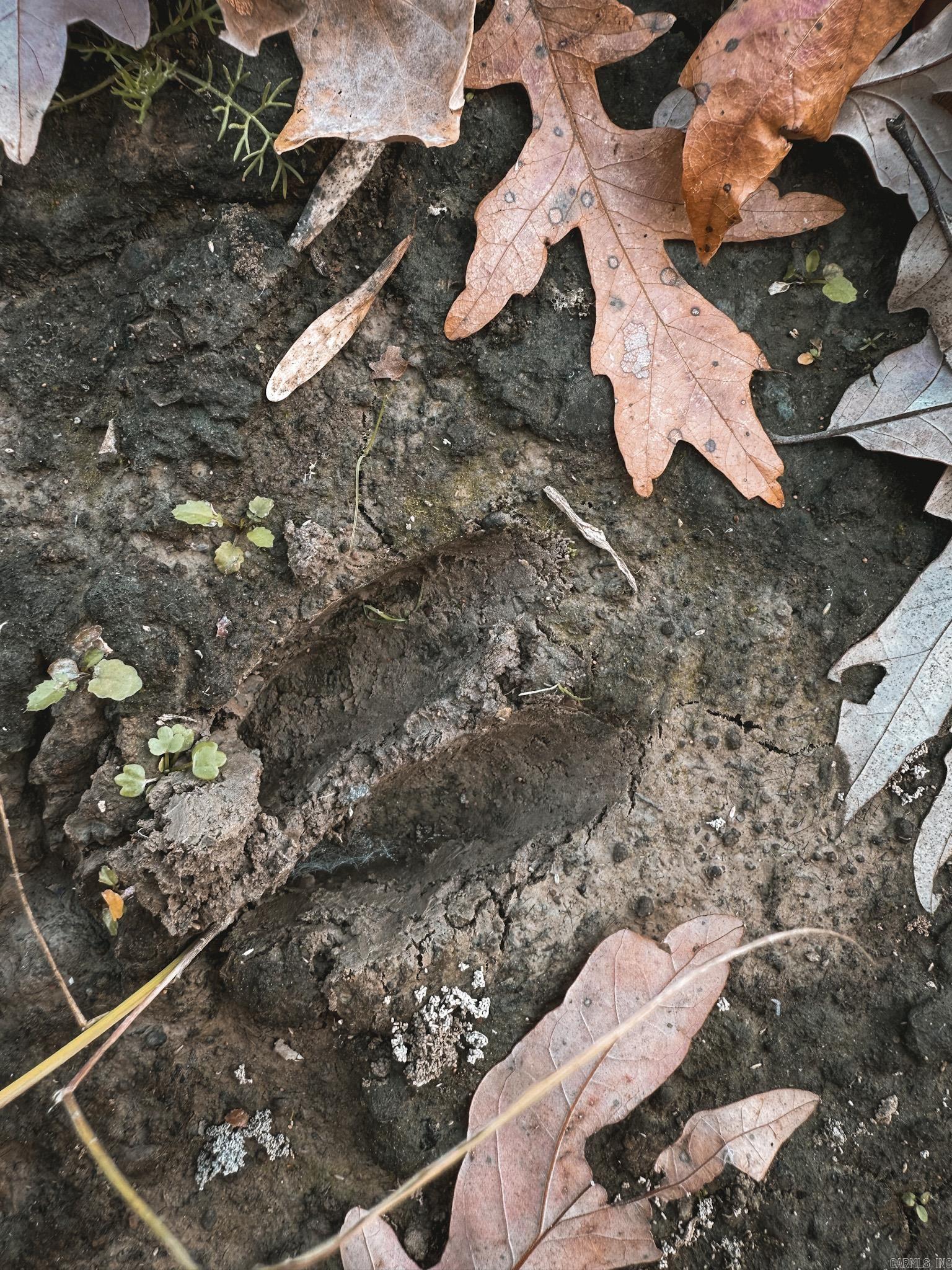  County Road 105  Hickory Ridge, AR