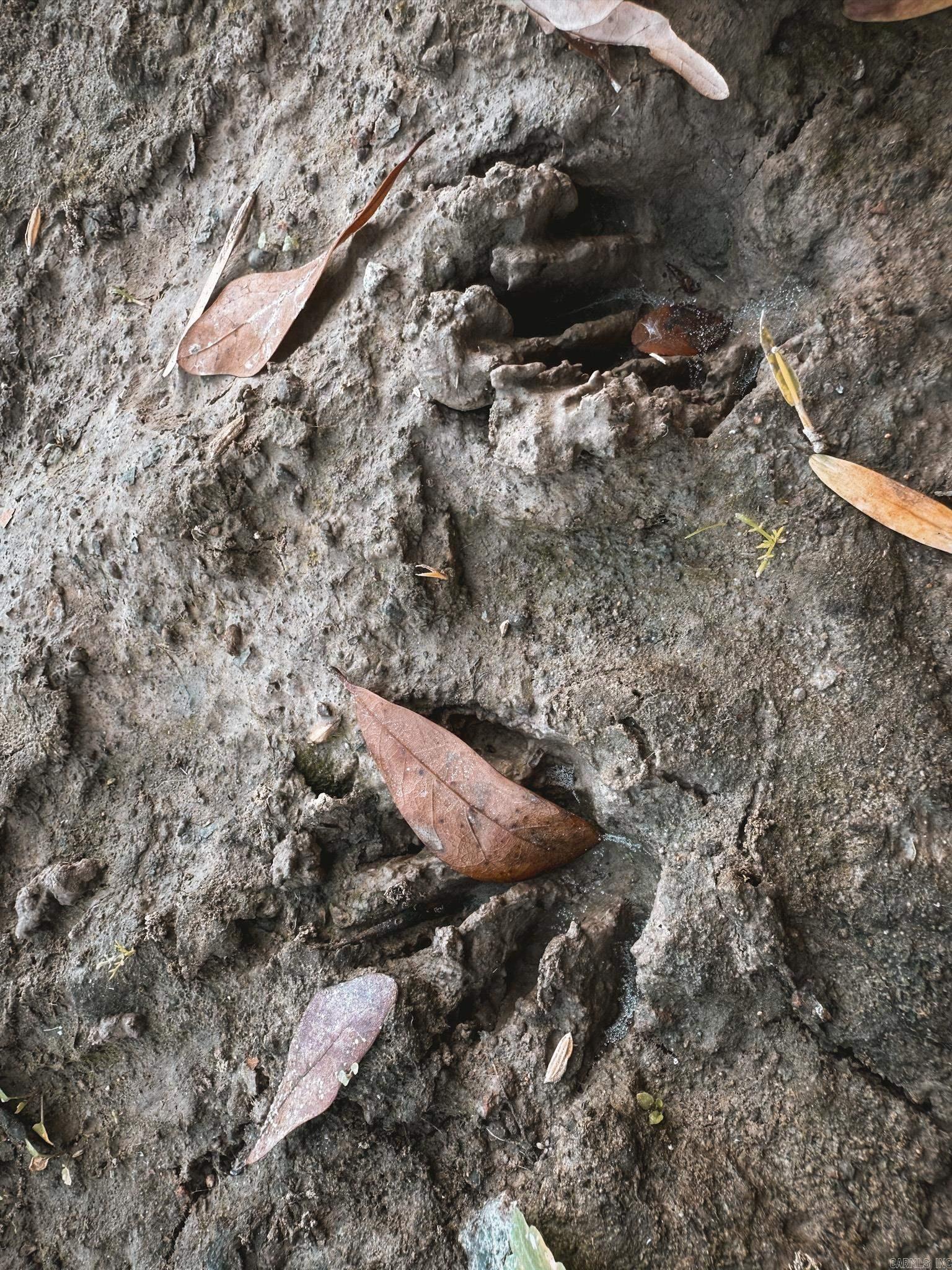  County Road 105  Hickory Ridge, AR