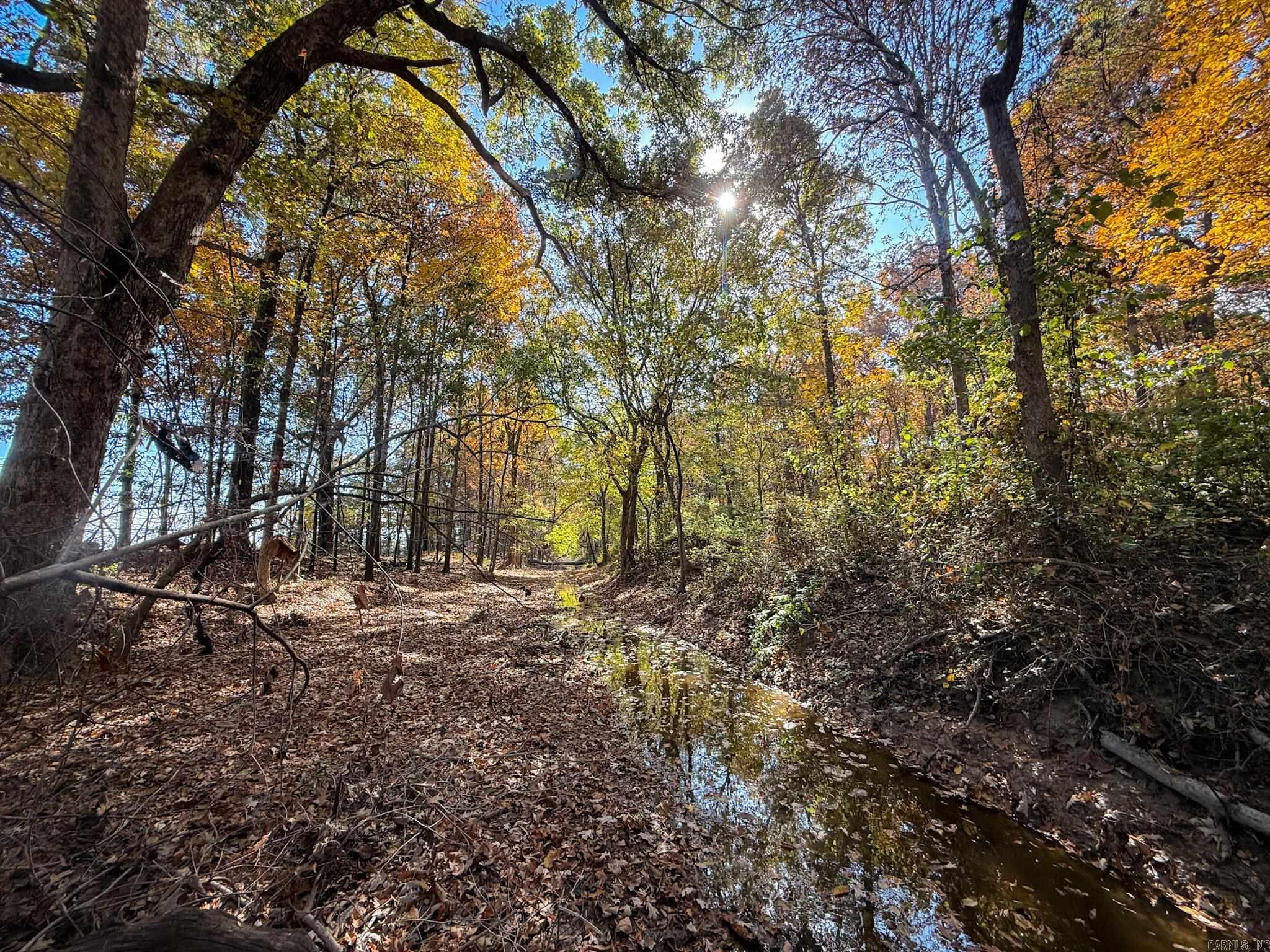  County Road 105  Hickory Ridge, AR