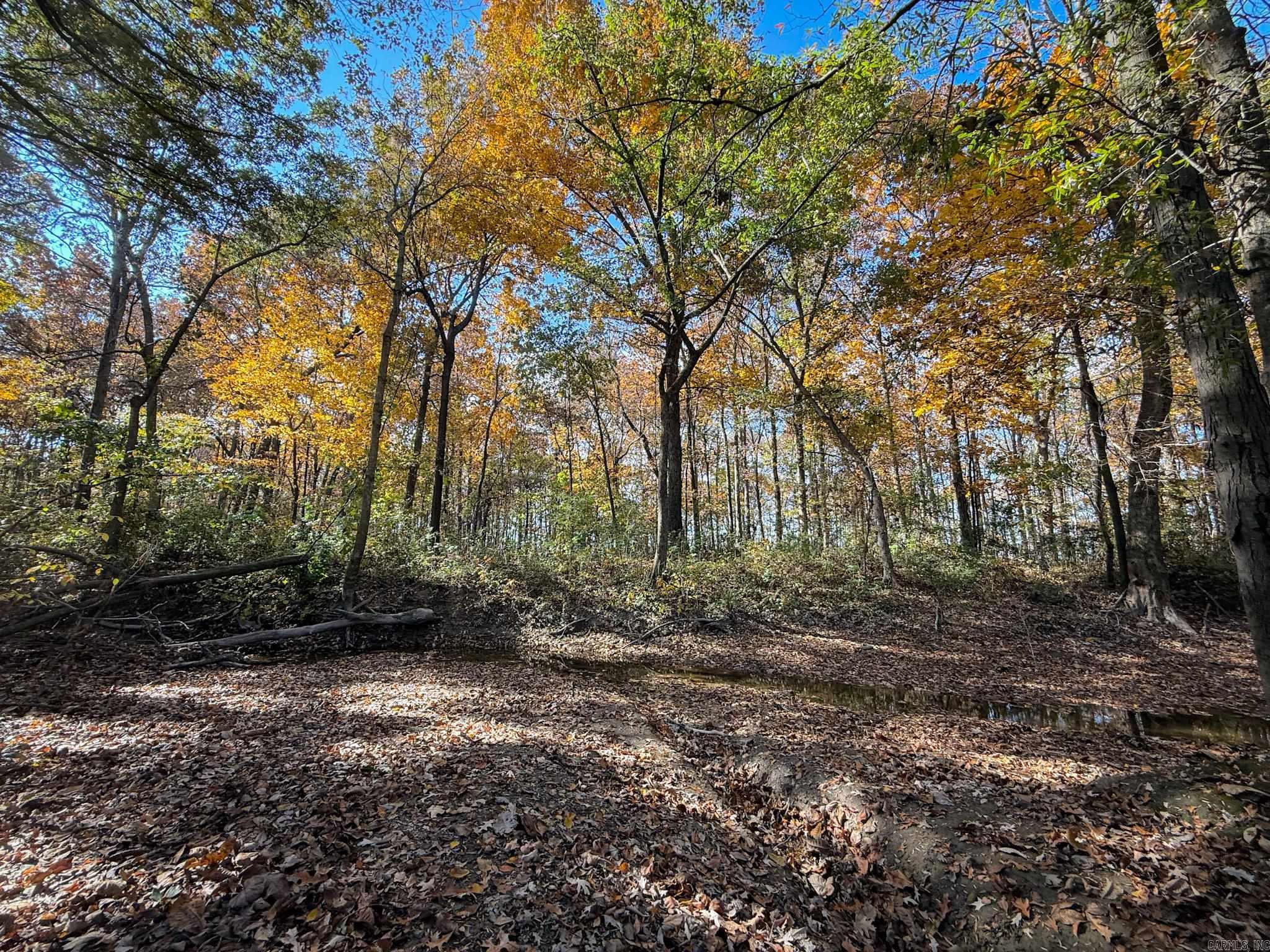  County Road 105  Hickory Ridge, AR