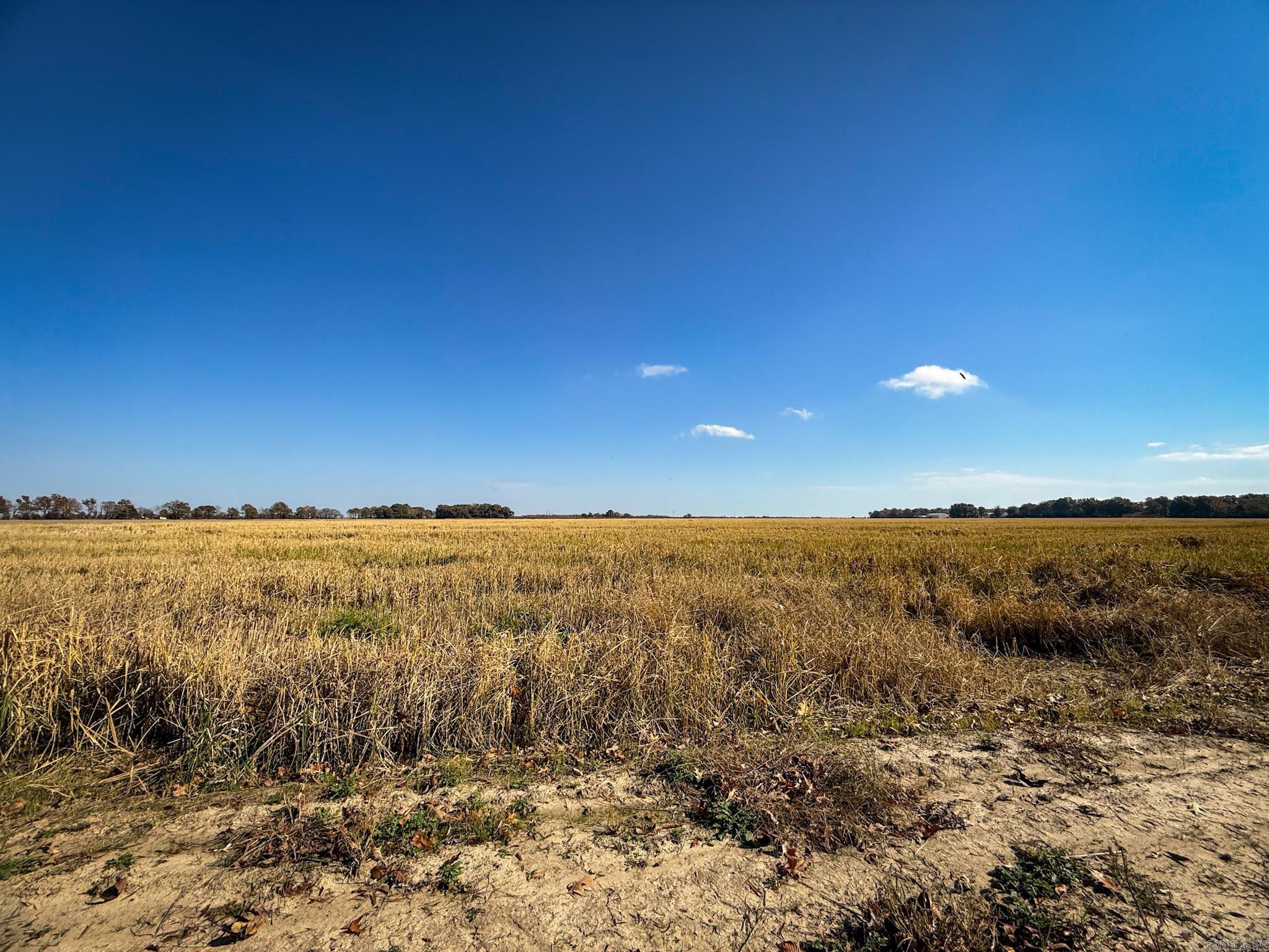  County Road 105  Hickory Ridge, AR