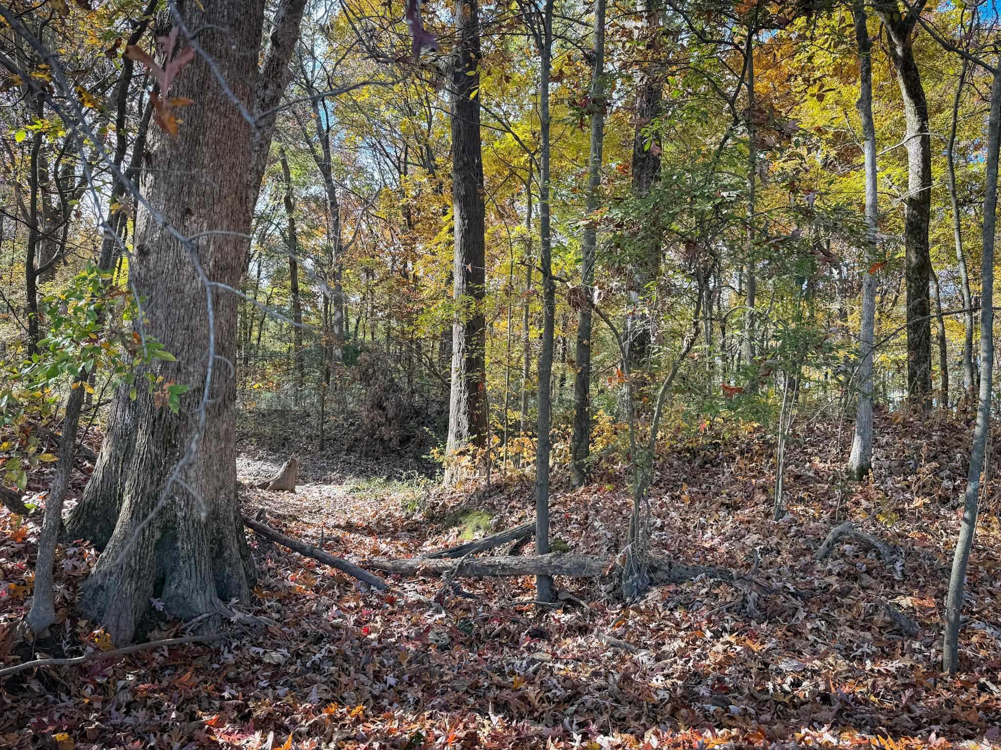  County Road 105  Hickory Ridge, AR