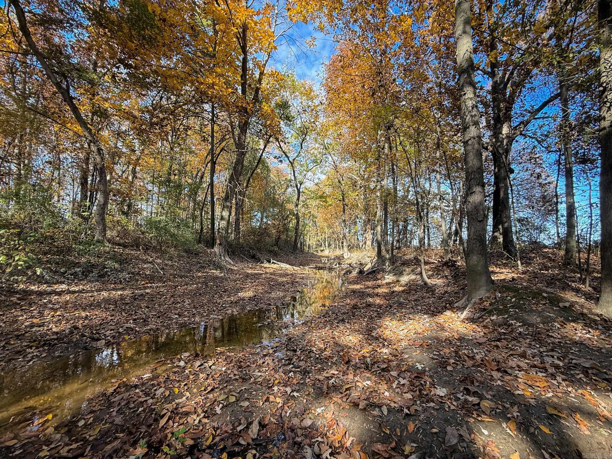  County Road 105  Hickory Ridge, AR