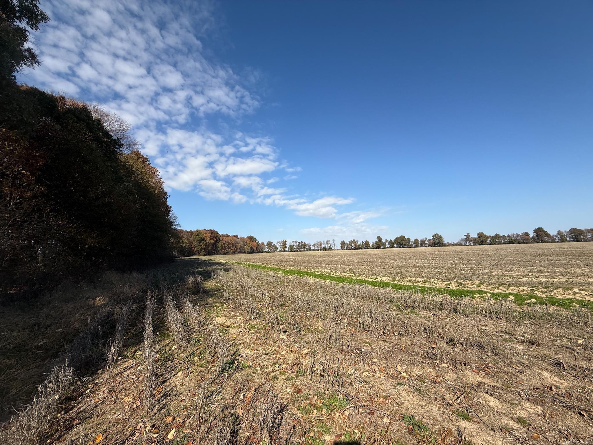  County Road 105  Hickory Ridge, AR