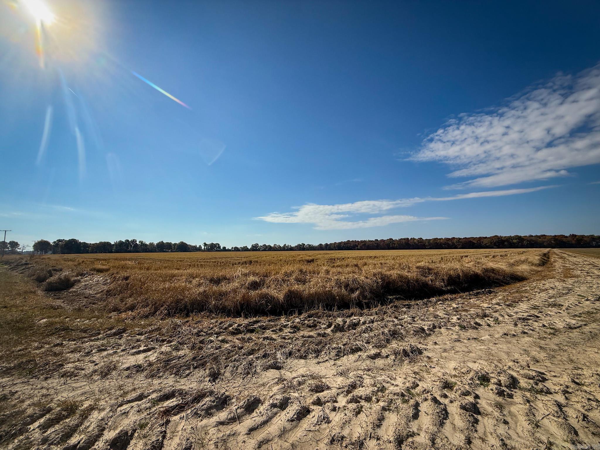  County Road 105  Hickory Ridge, AR