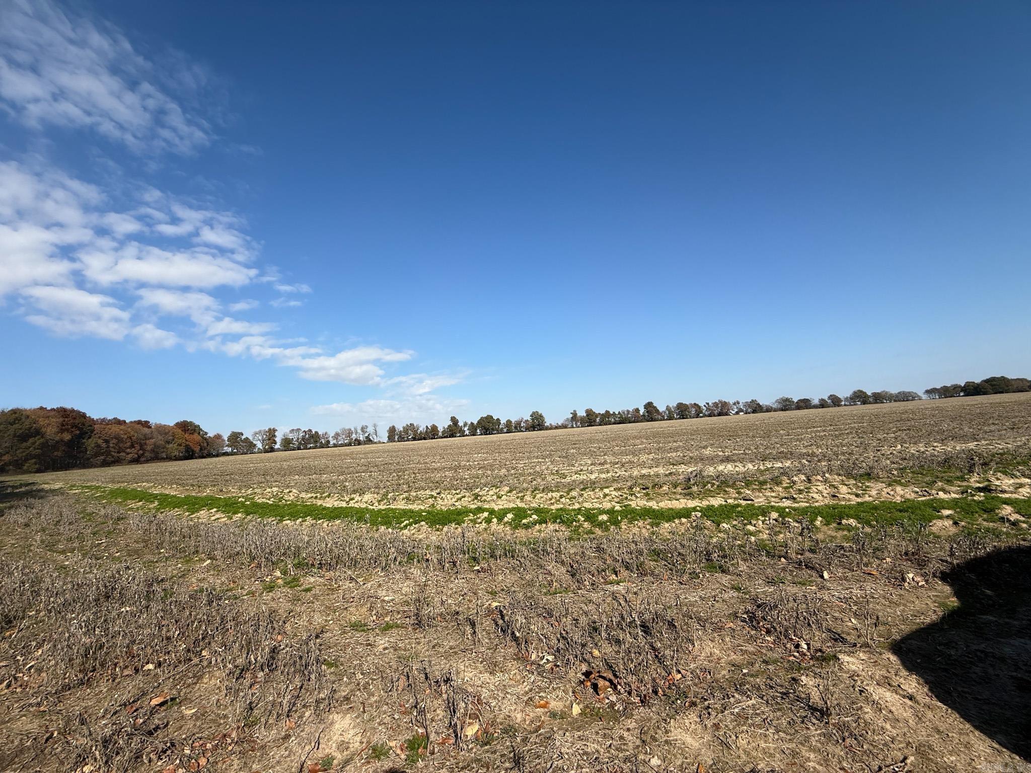  County Road 105  Hickory Ridge, AR