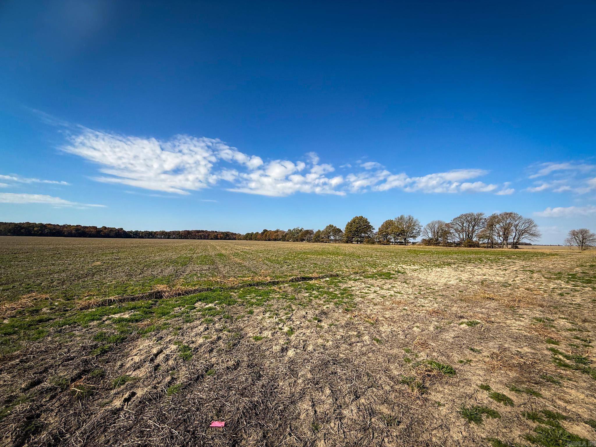  County Road 105  Hickory Ridge, AR