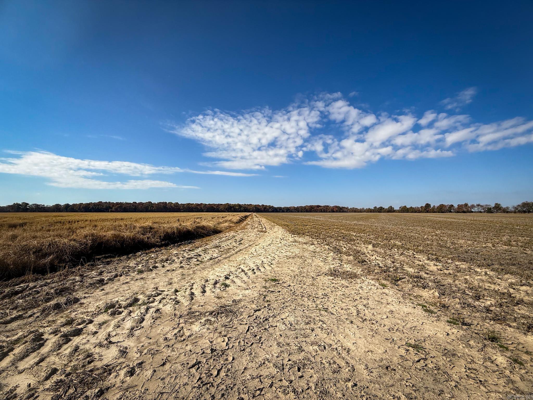  County Road 105  Hickory Ridge, AR