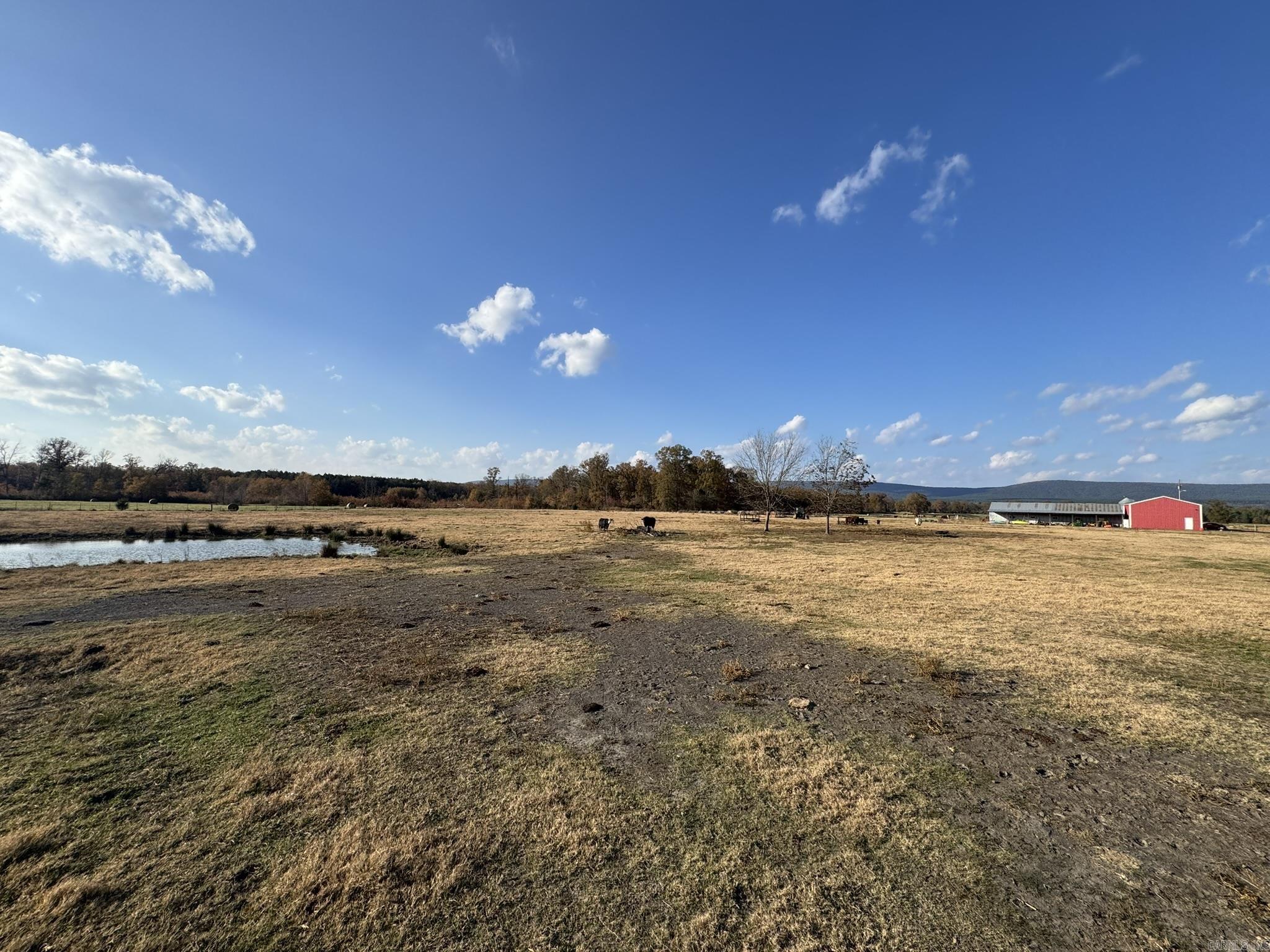 23788 Highway 28  Bluffton, AR