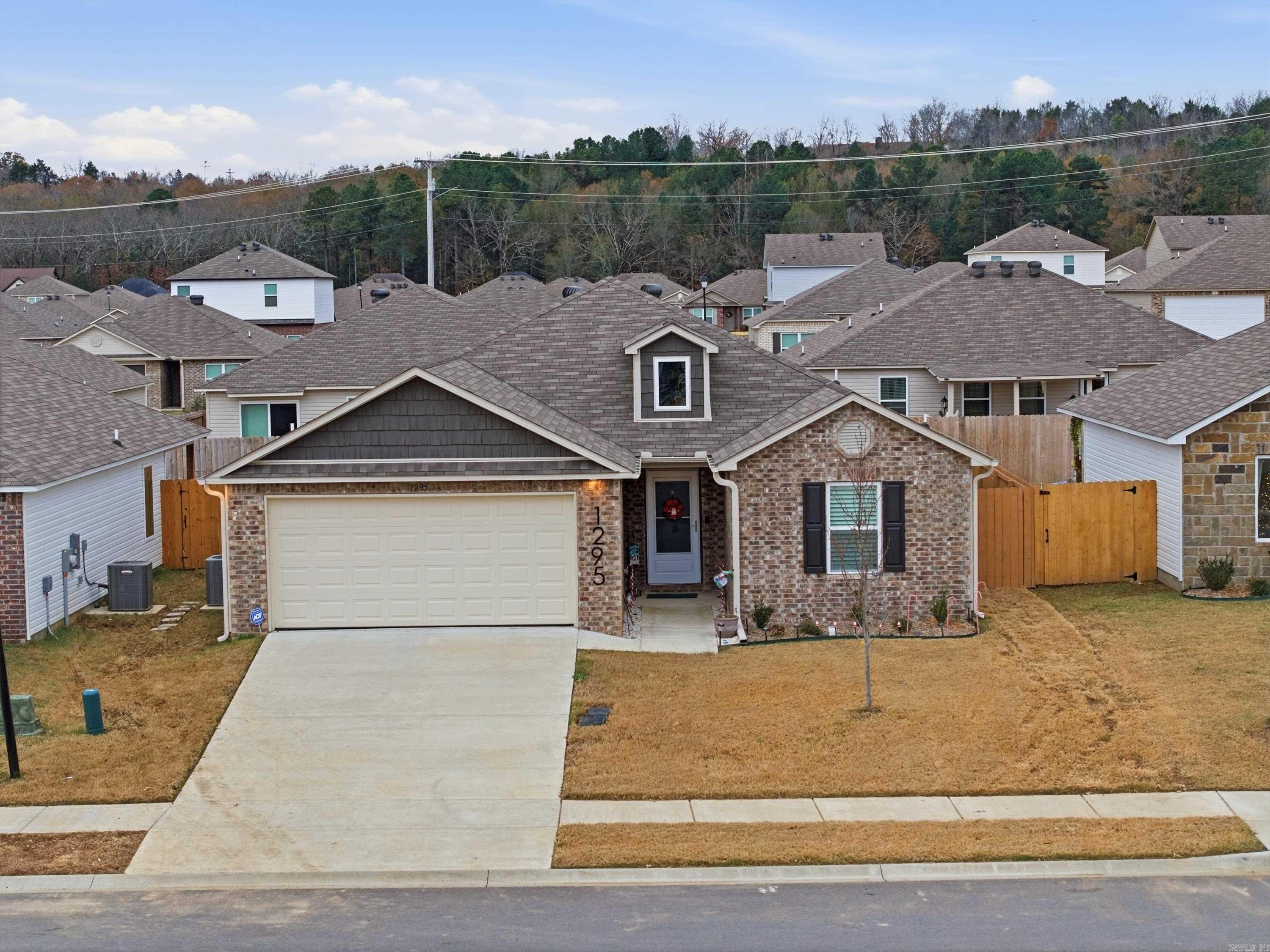 1295 AGOGO  Conway, AR