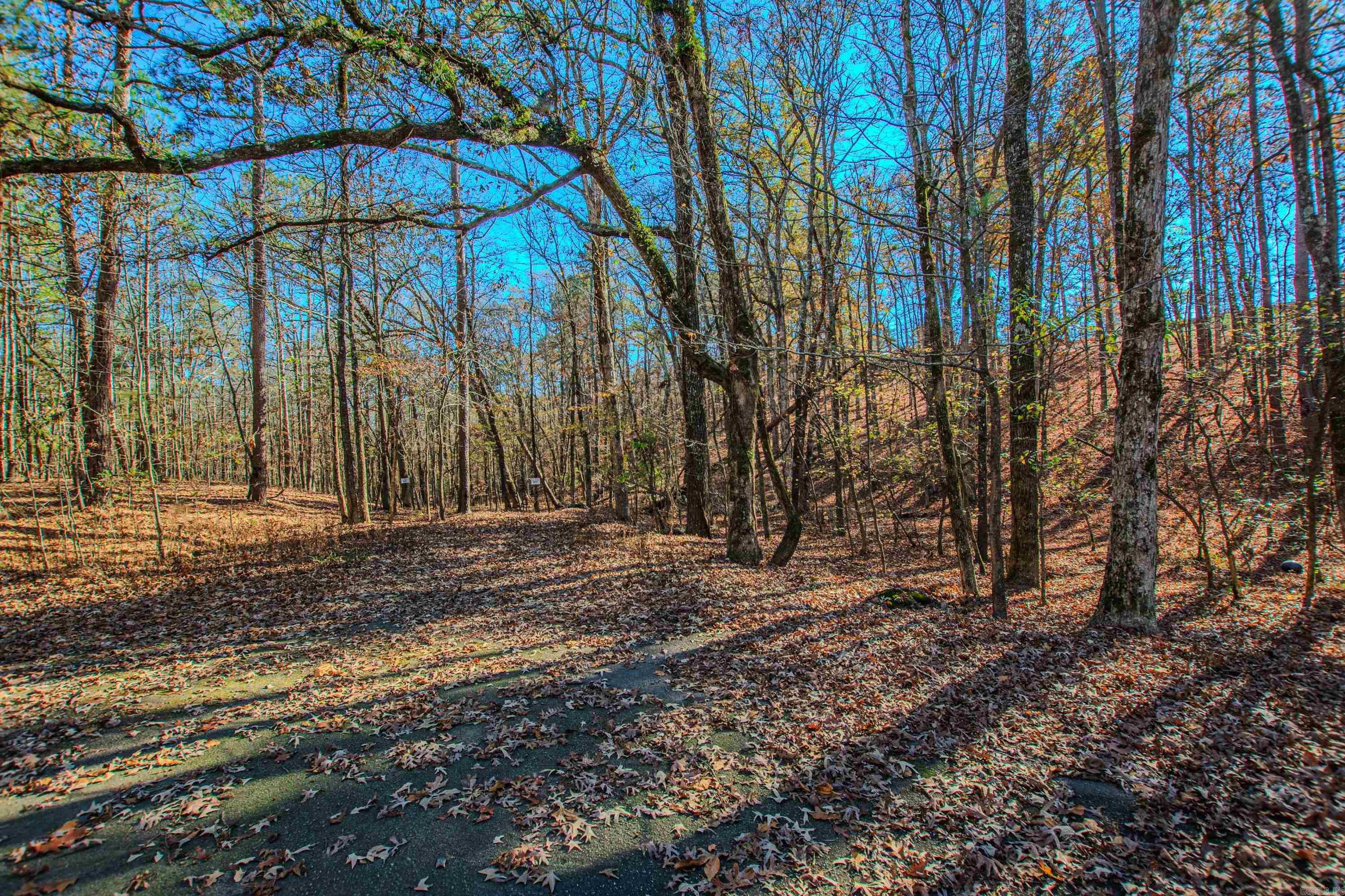 17508 Corinthian  Little Rock, AR