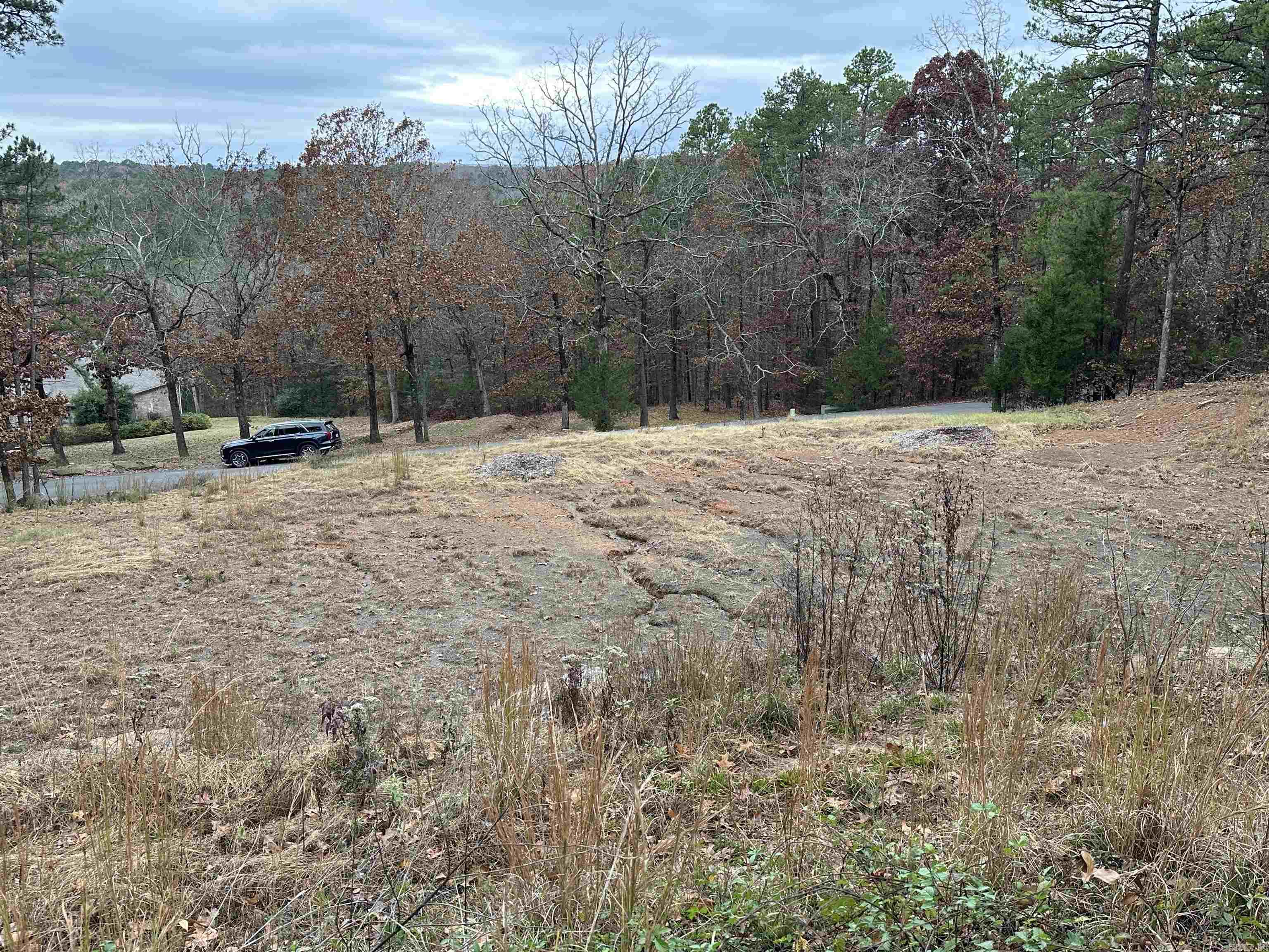 00 Fox Run  Heber Springs, AR