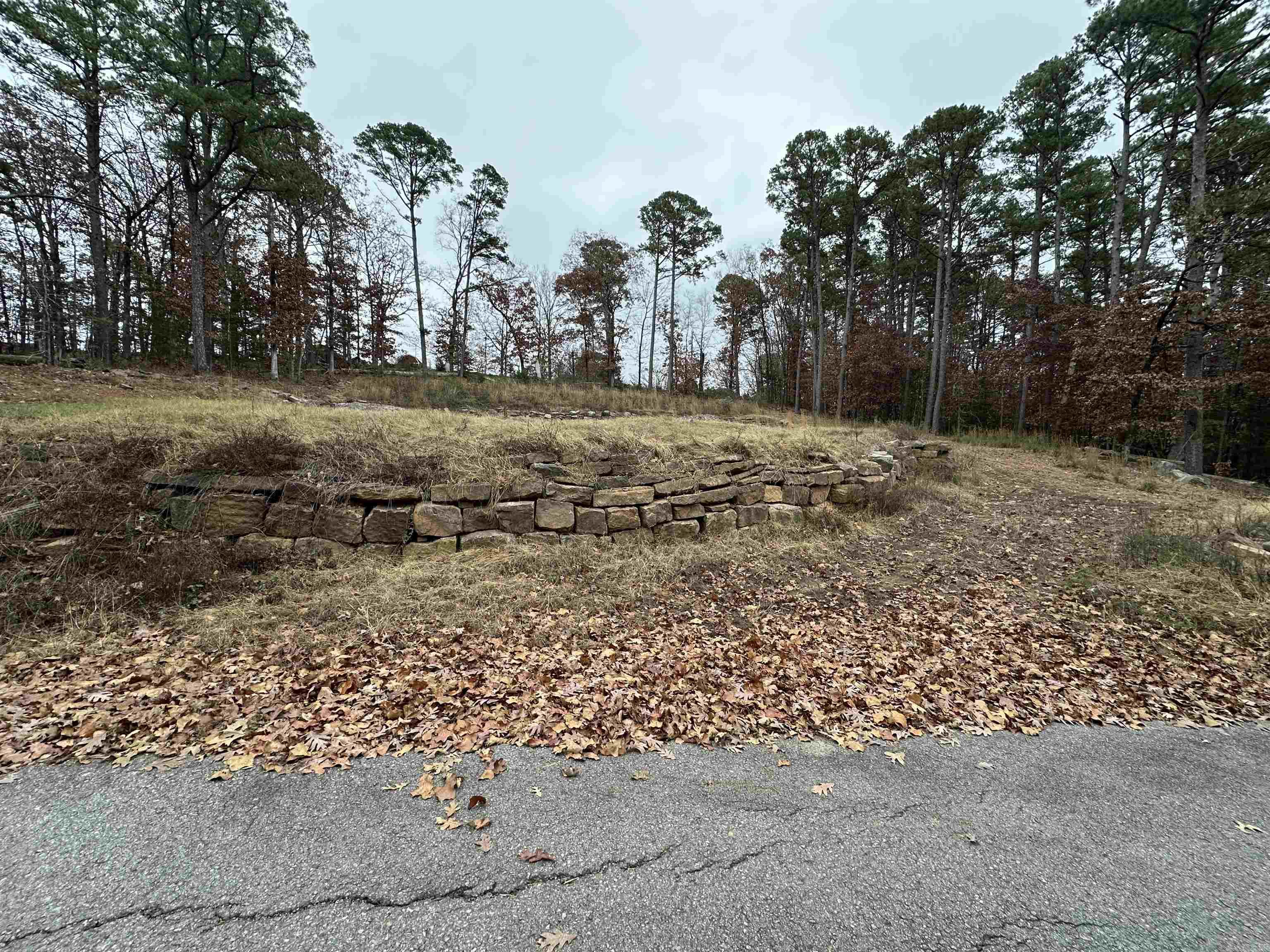 00 Fox Run  Heber Springs, AR