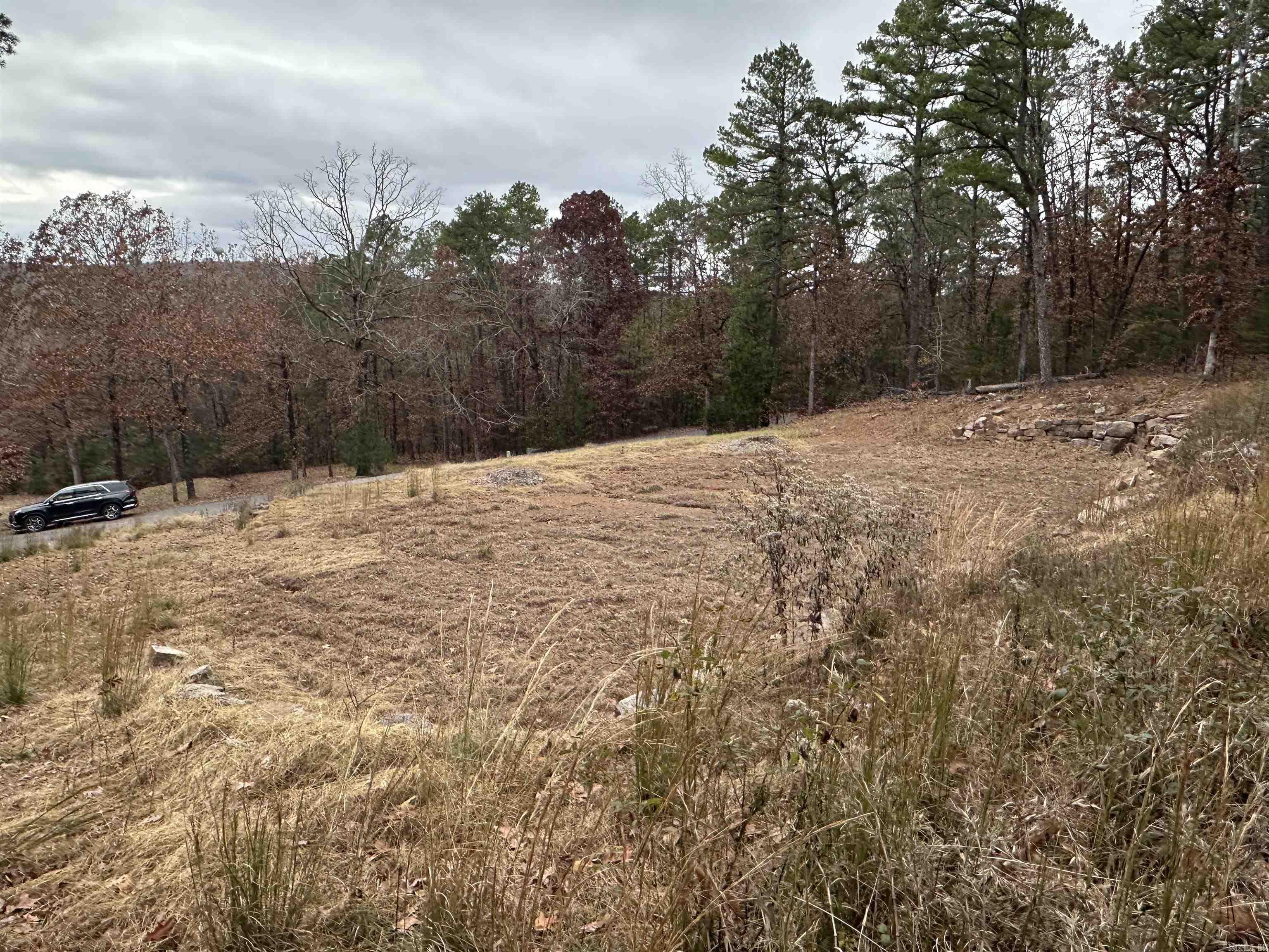 00 Fox Run  Heber Springs, AR