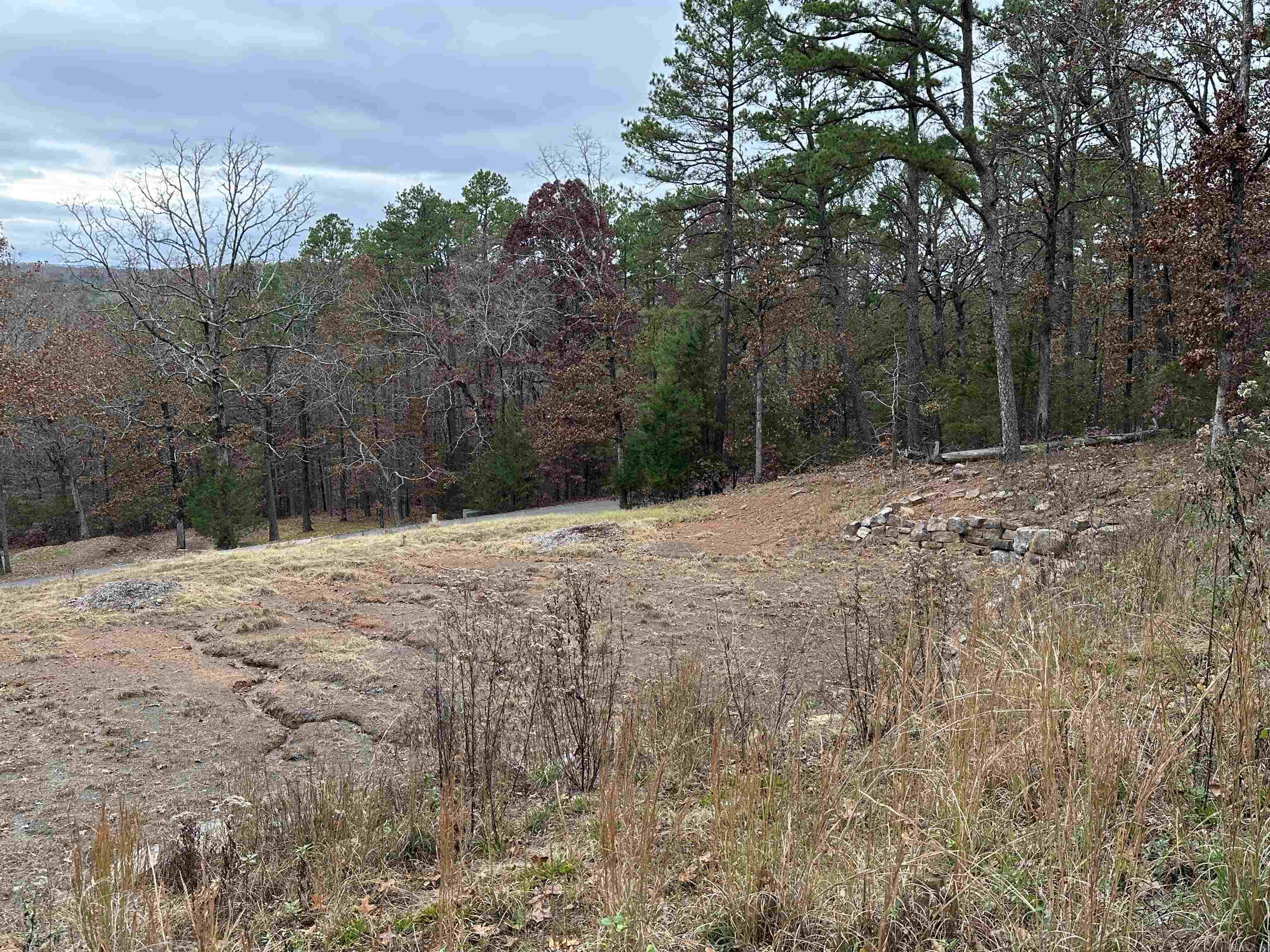 00 Fox Run  Heber Springs, AR