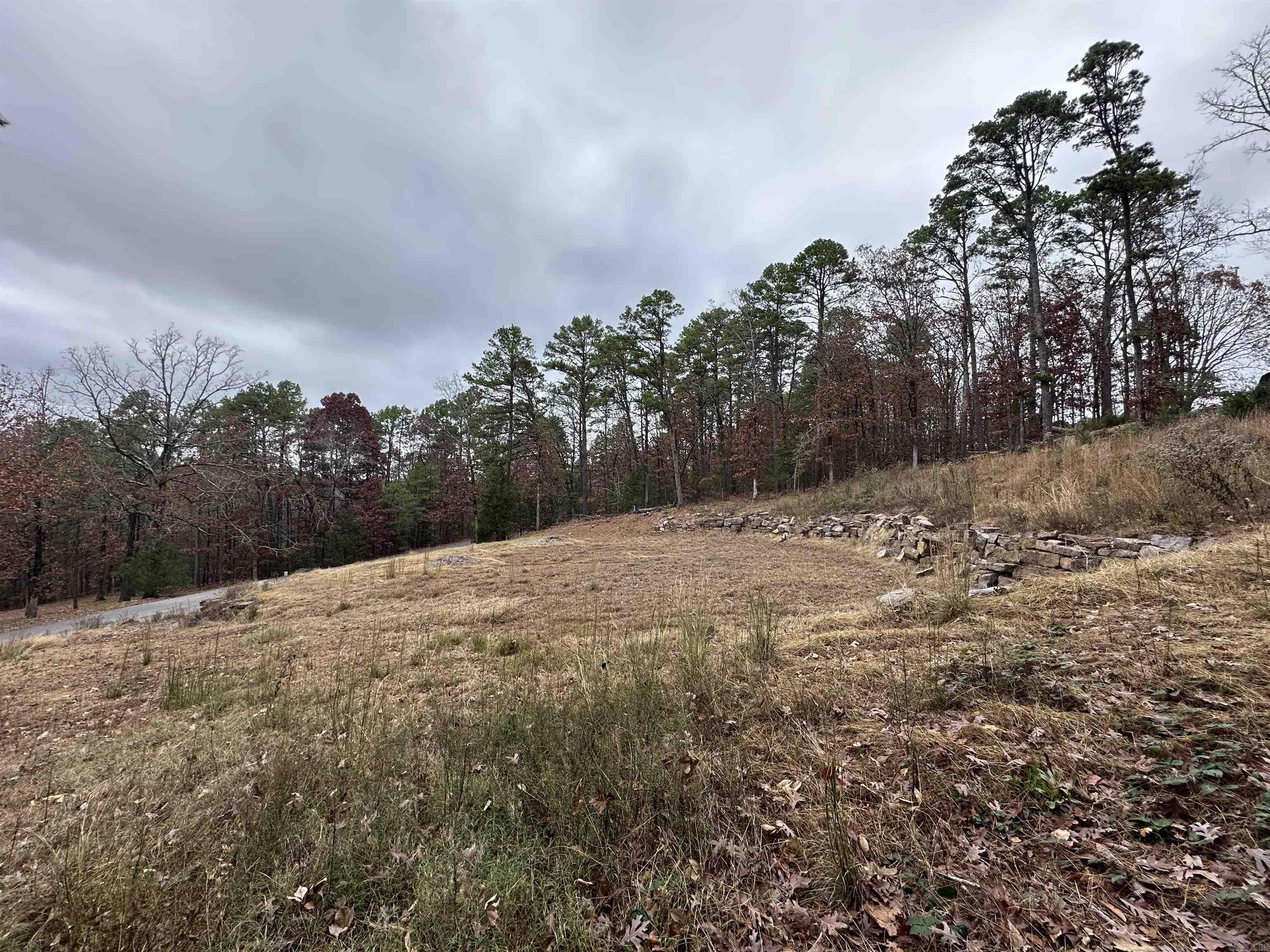 00 Fox Run  Heber Springs, AR