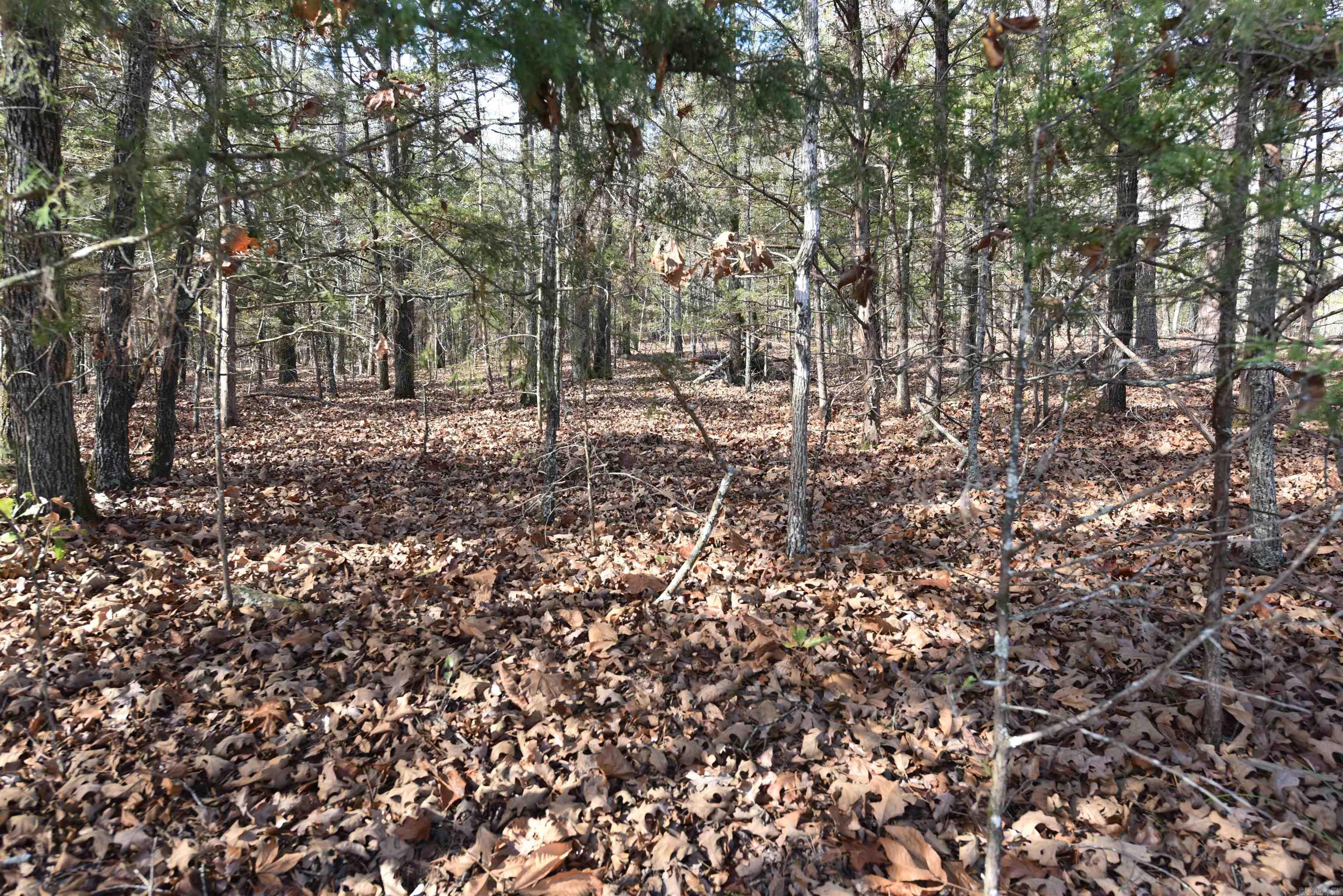 Lot 53 Sunnyside  Fairfield Bay, AR
