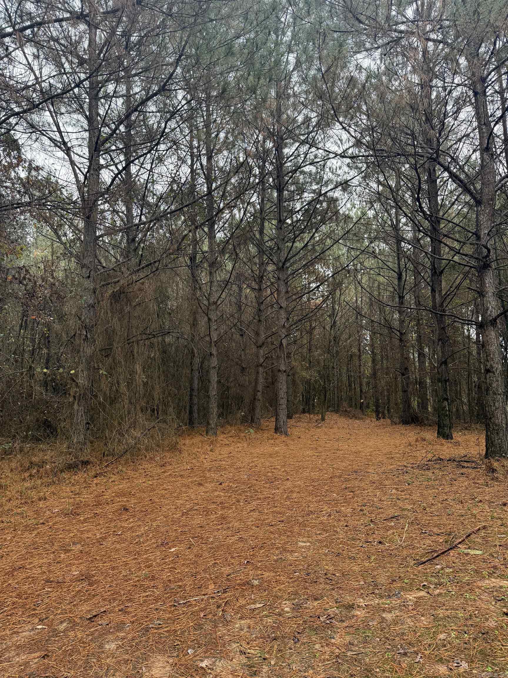 TBD Loan Oak  Lockesburg, AR