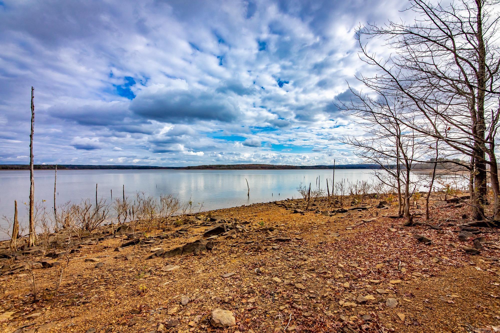 455 EAST SHORE Drive Drasco, AR 72530