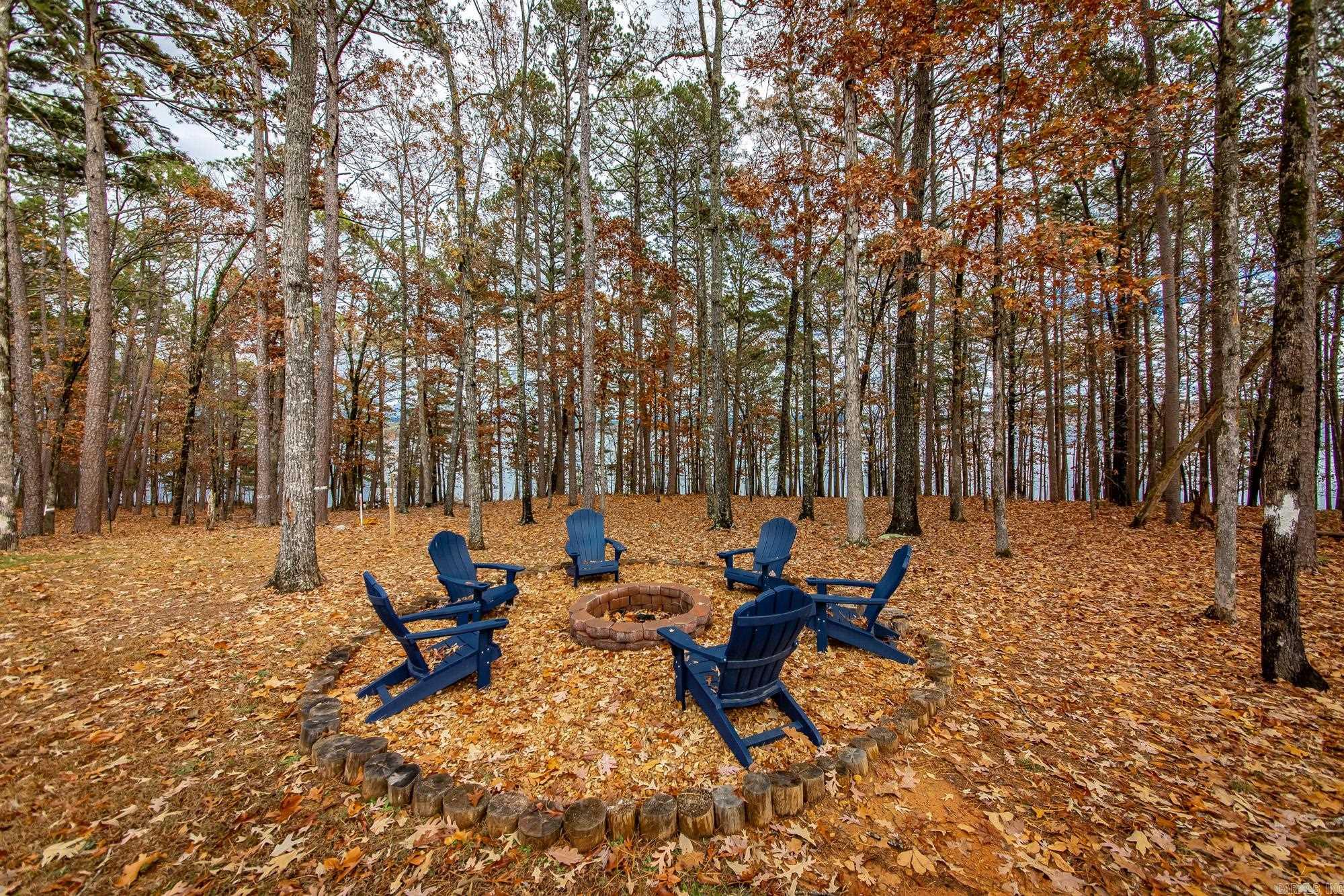 455 EAST SHORE Drive Drasco, AR 72530