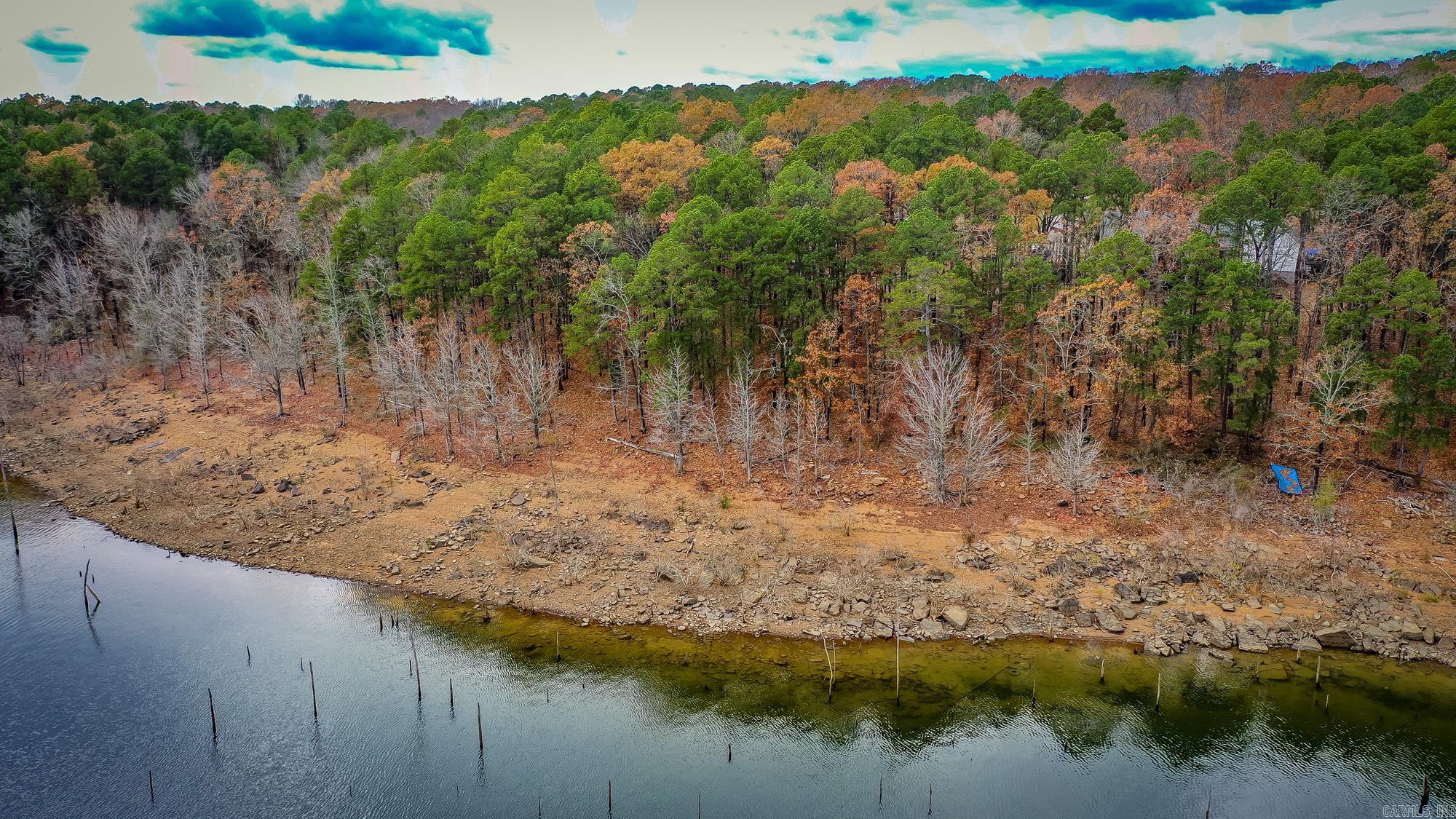 455 EAST SHORE Drive Drasco, AR 72530