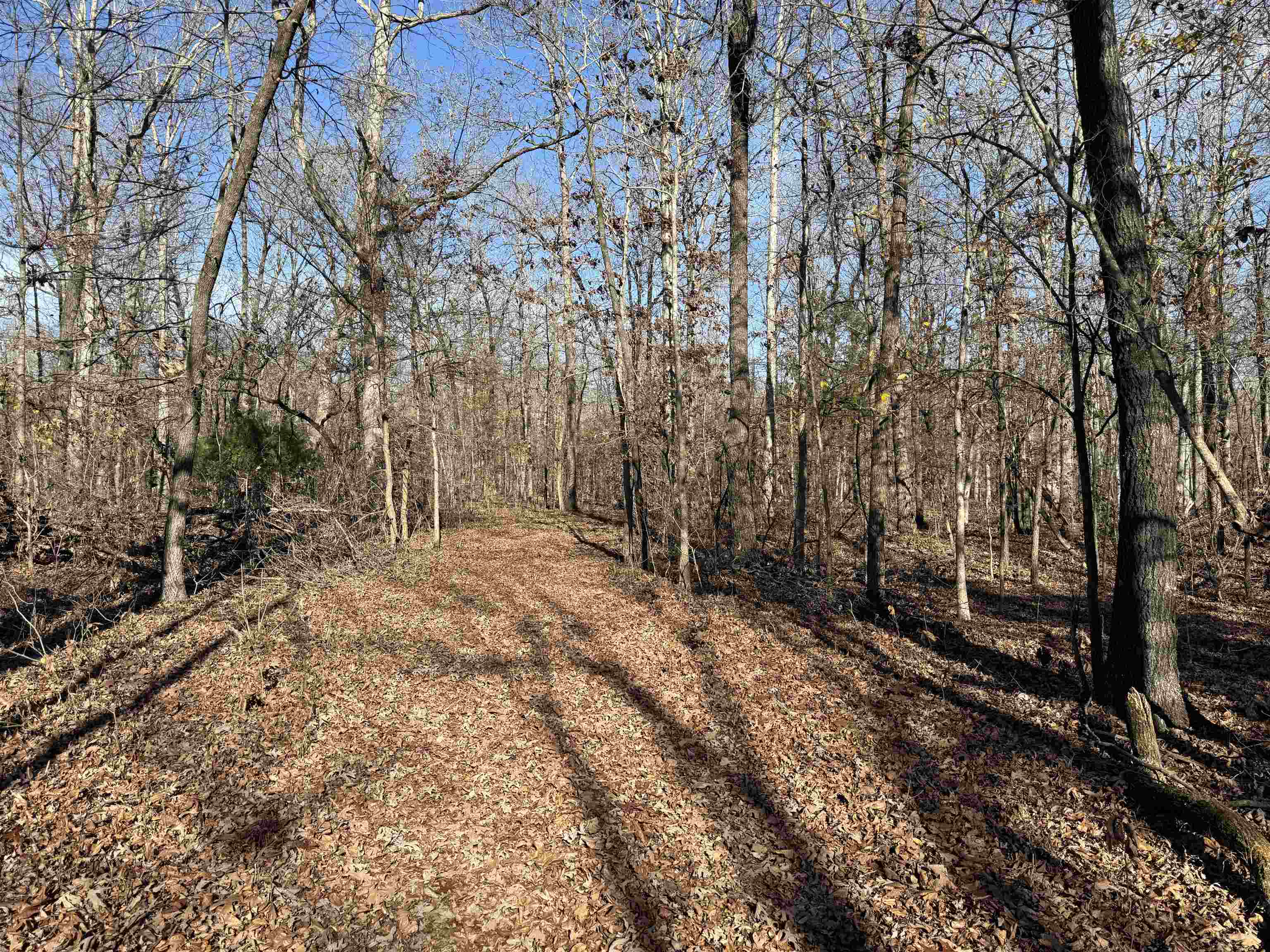 00 Hwy 63  Ravenden, AR