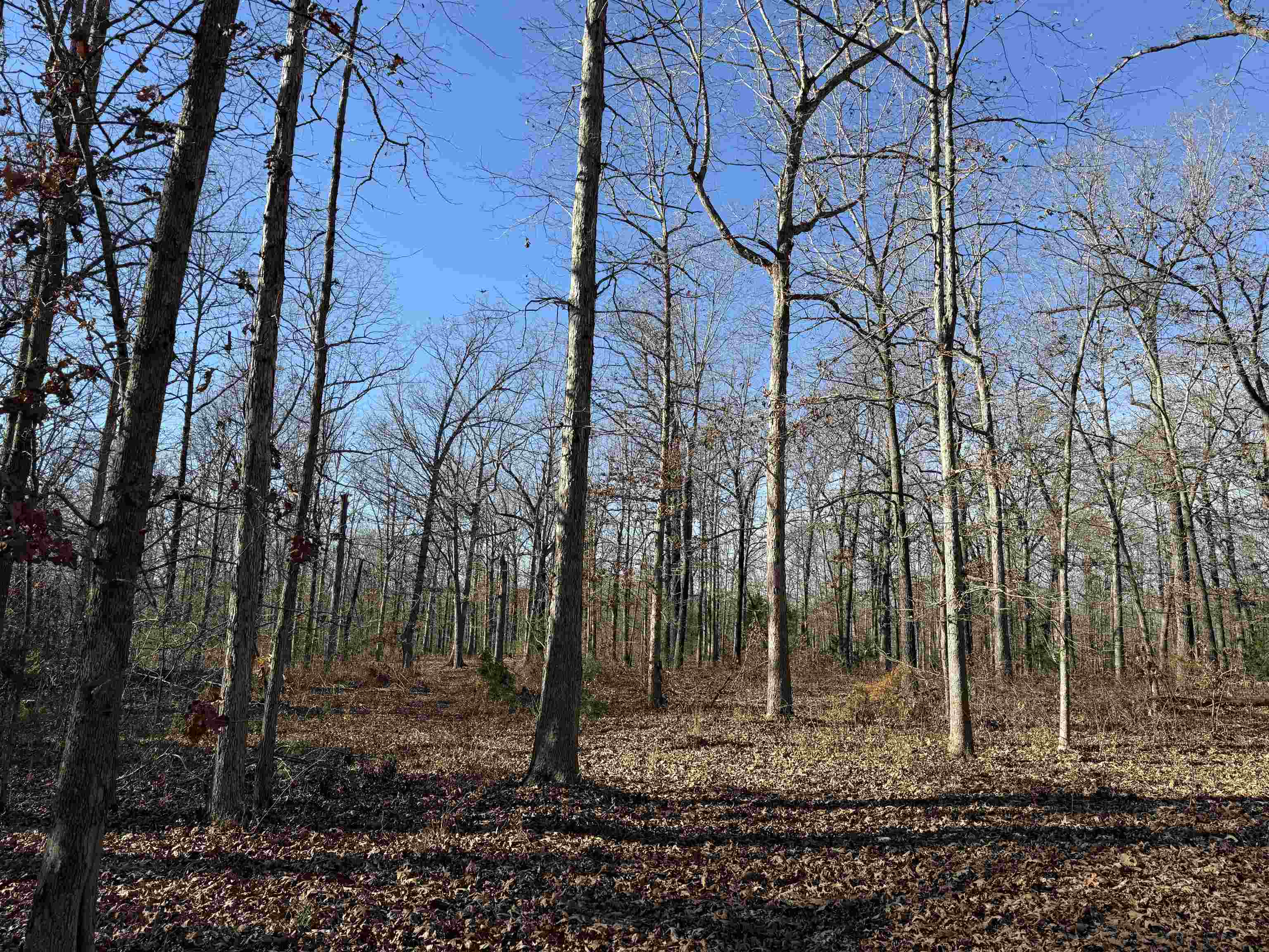 00 Hwy 63  Ravenden, AR