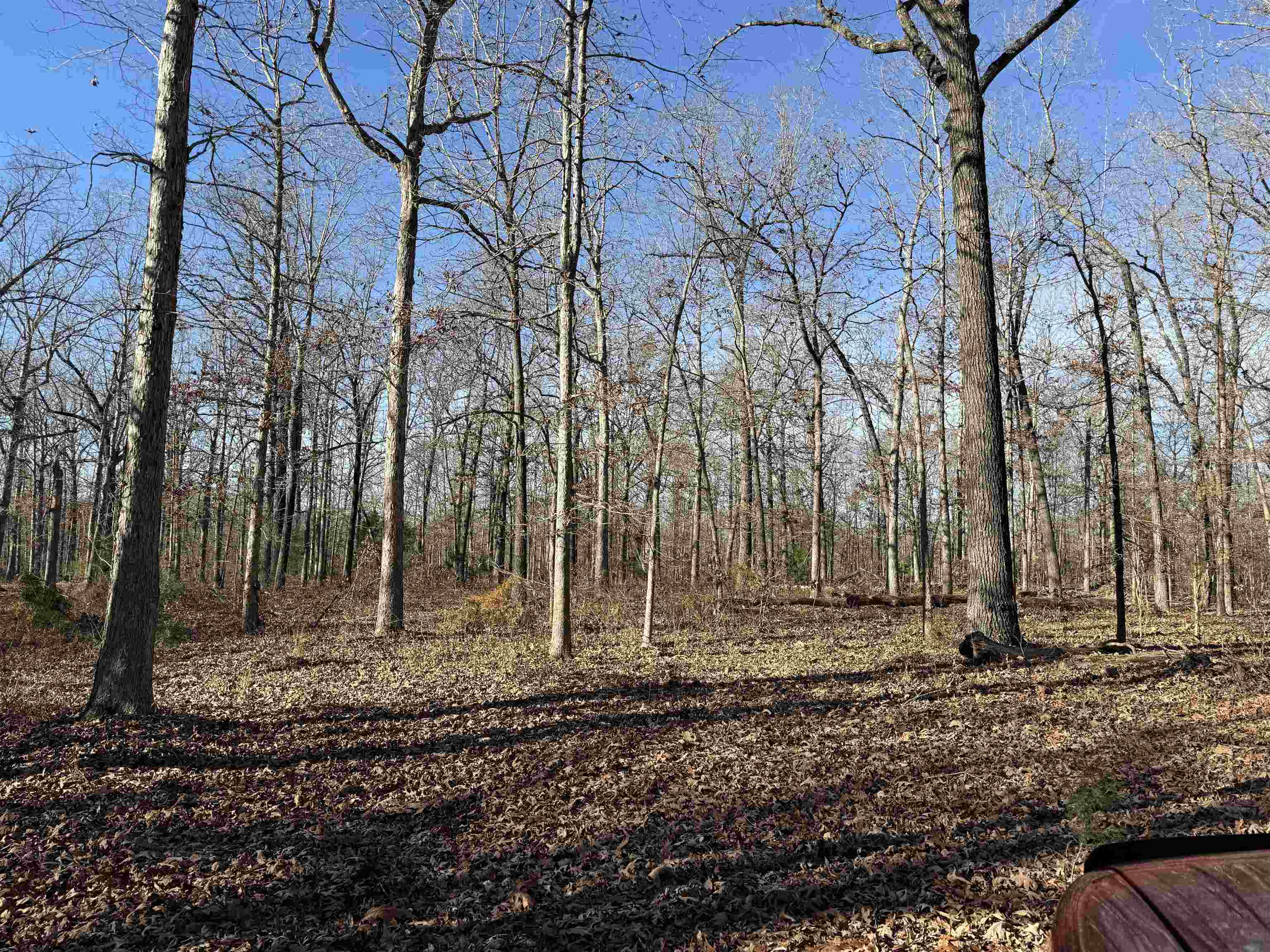 00 Hwy 63  Ravenden, AR