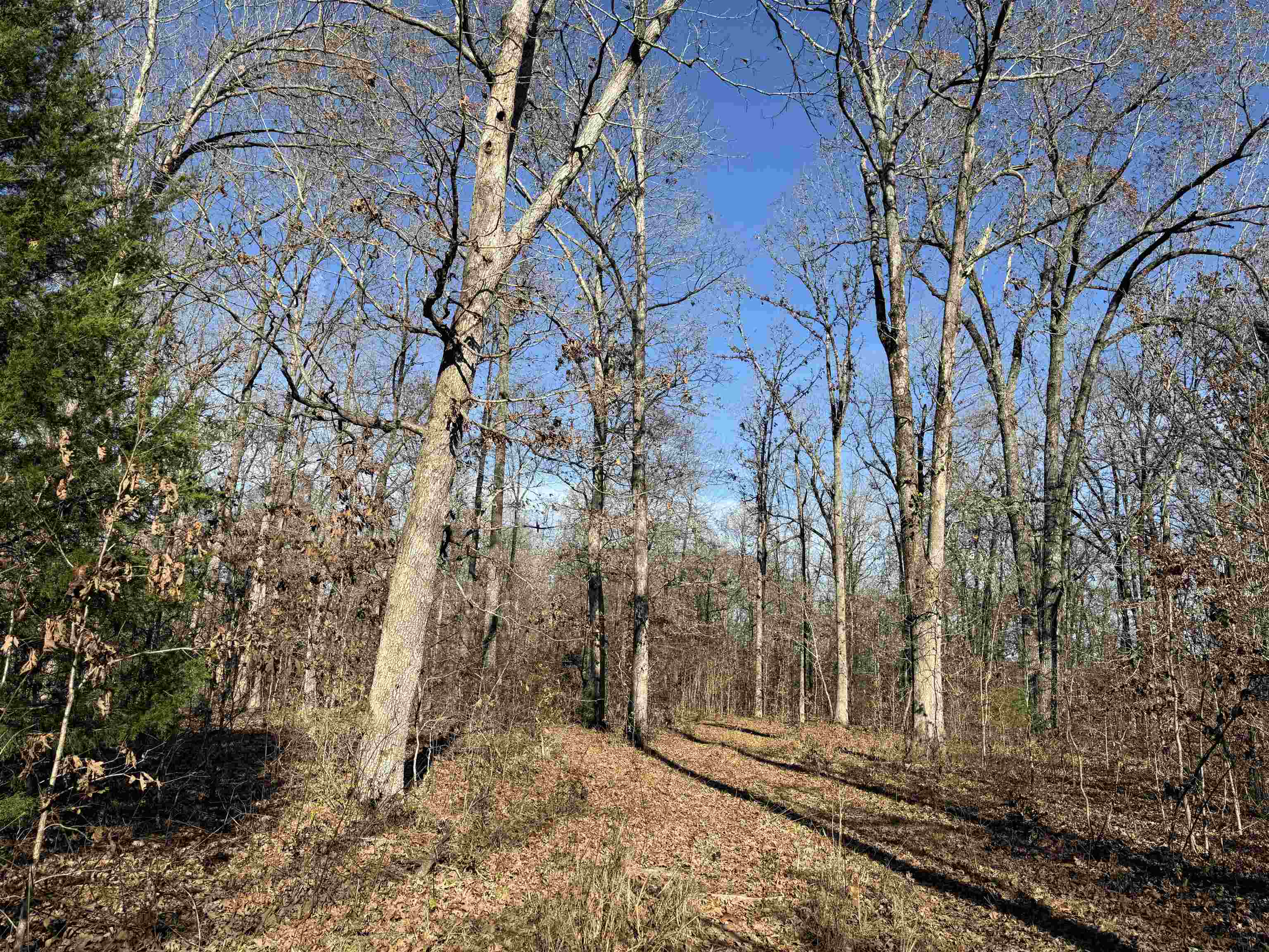 00 Hwy 63  Ravenden, AR