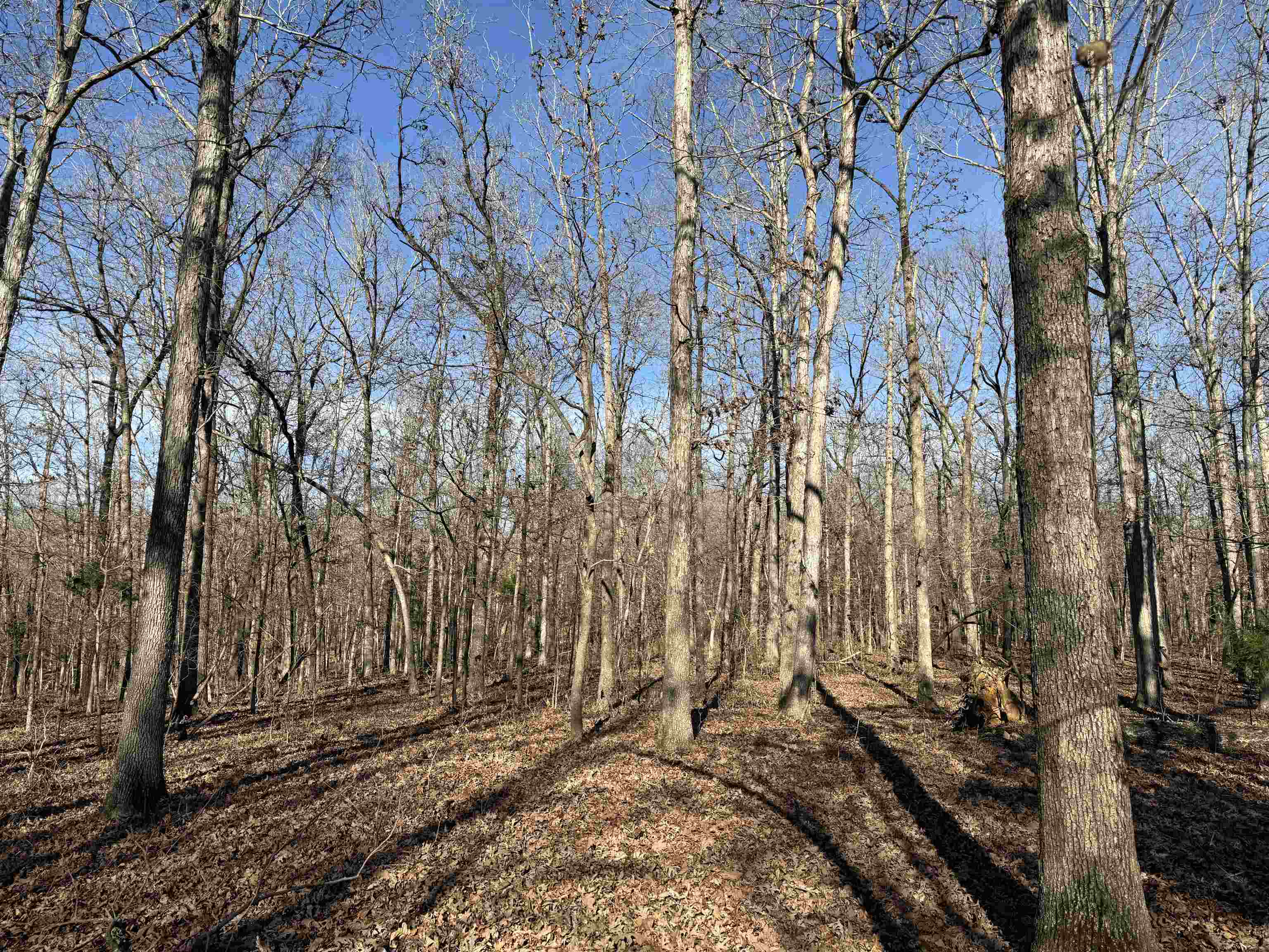 00 Hwy 63  Ravenden, AR