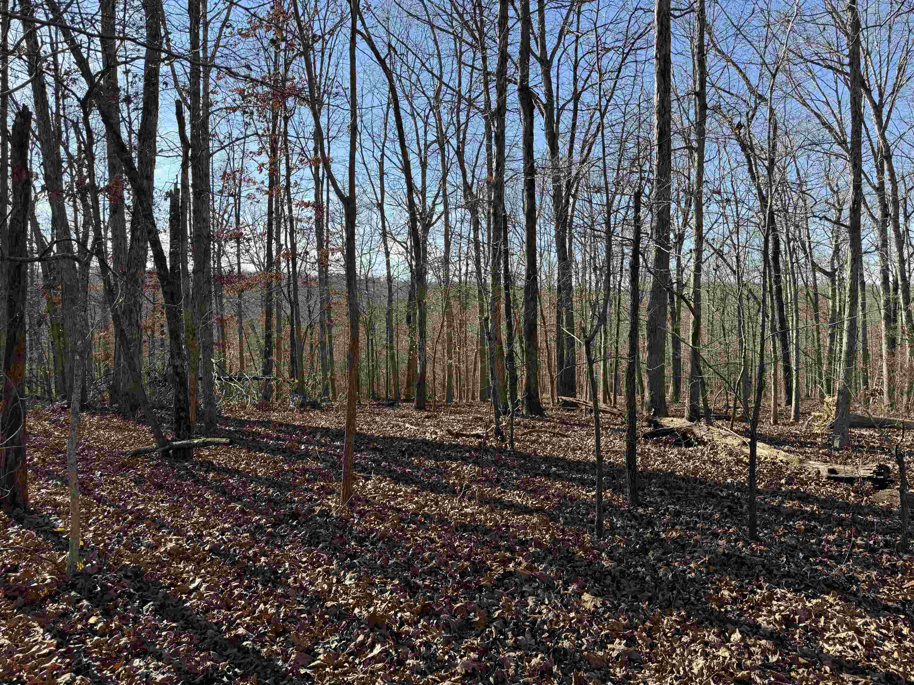 00 Hwy 63  Ravenden, AR