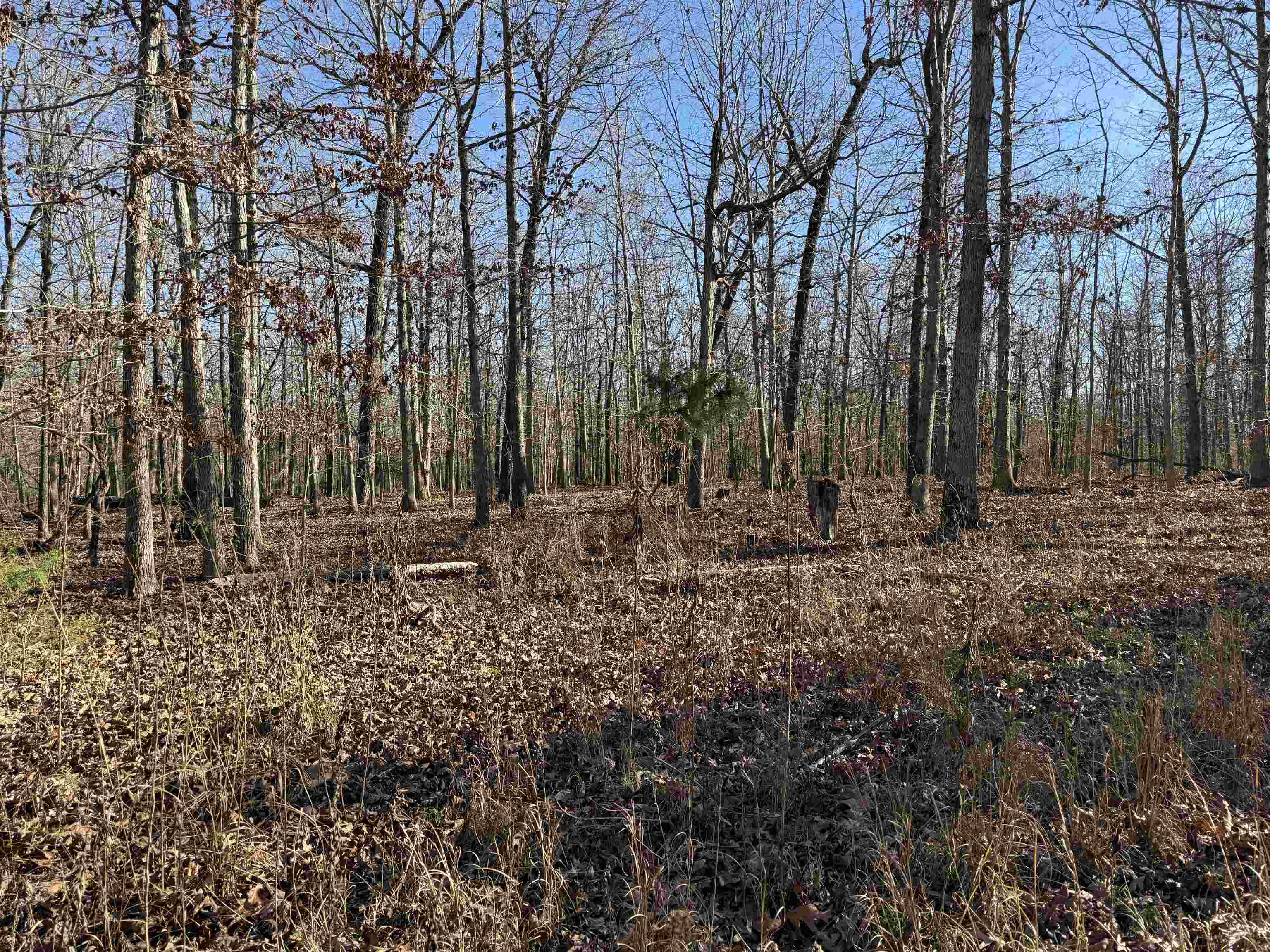 00 Hwy 63  Ravenden, AR