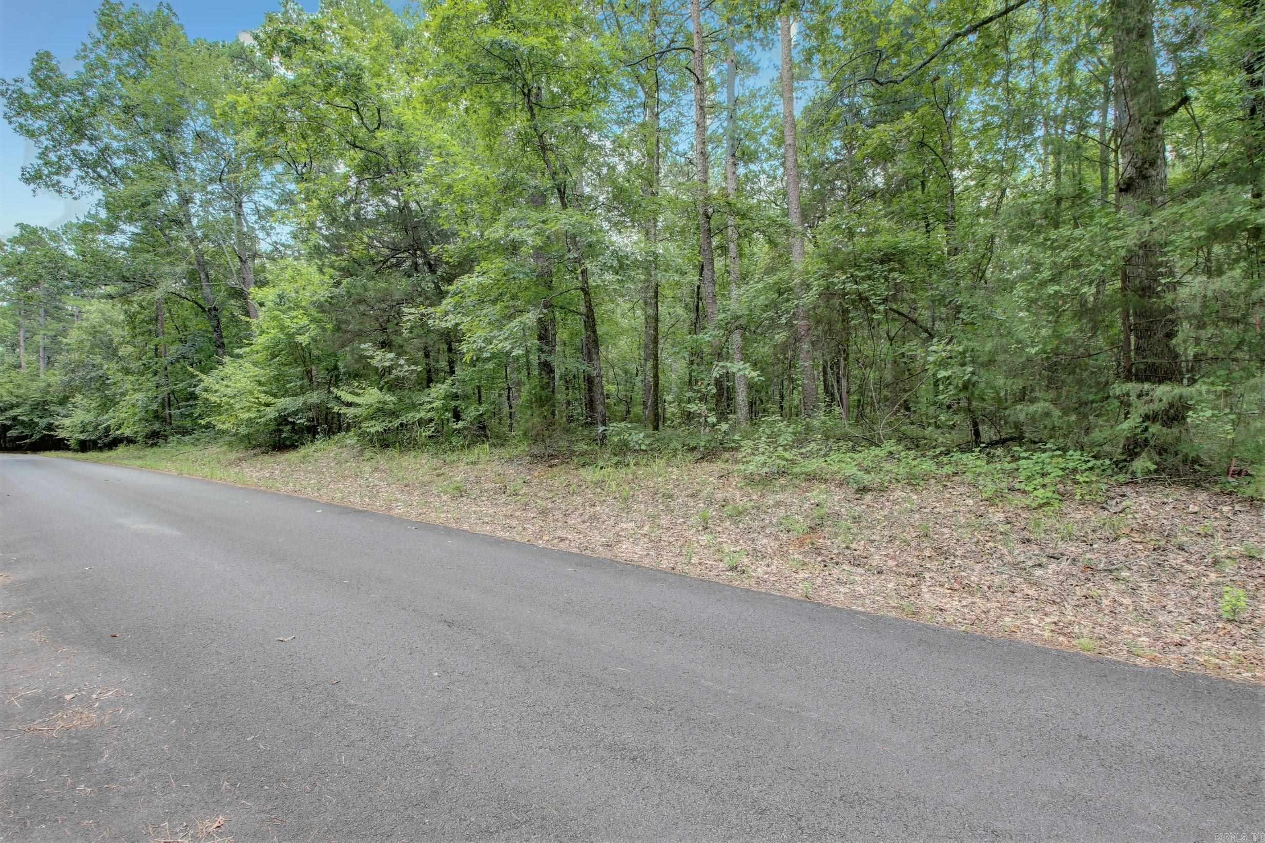 16 PEDRERA LANE  Hot Springs Village, AR