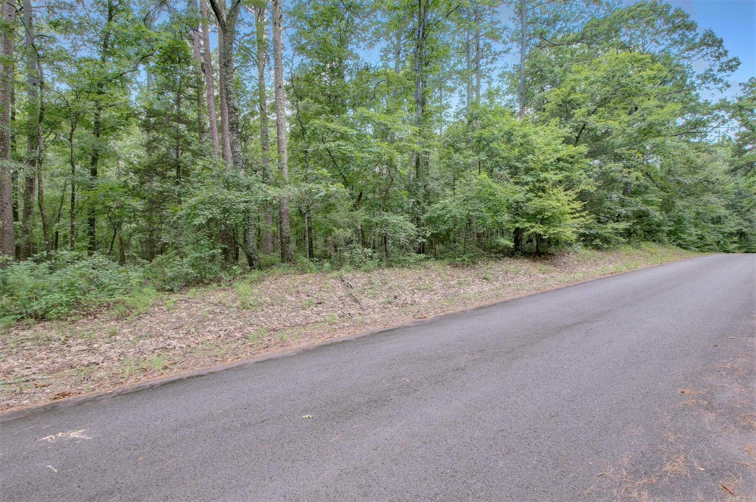 16 PEDRERA LANE  Hot Springs Village, AR