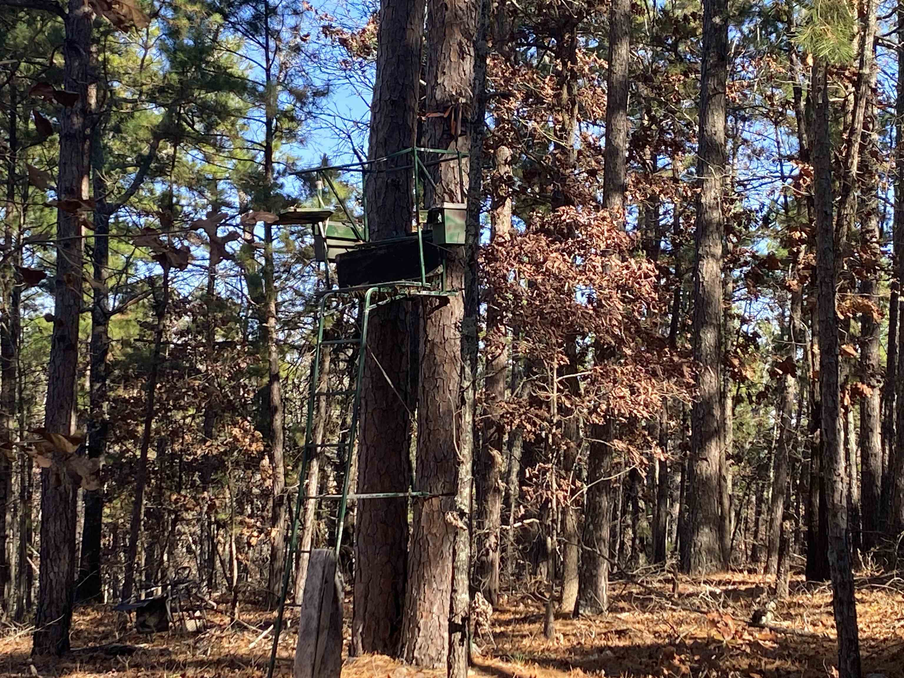 924 Quail Way  Dolph, AR