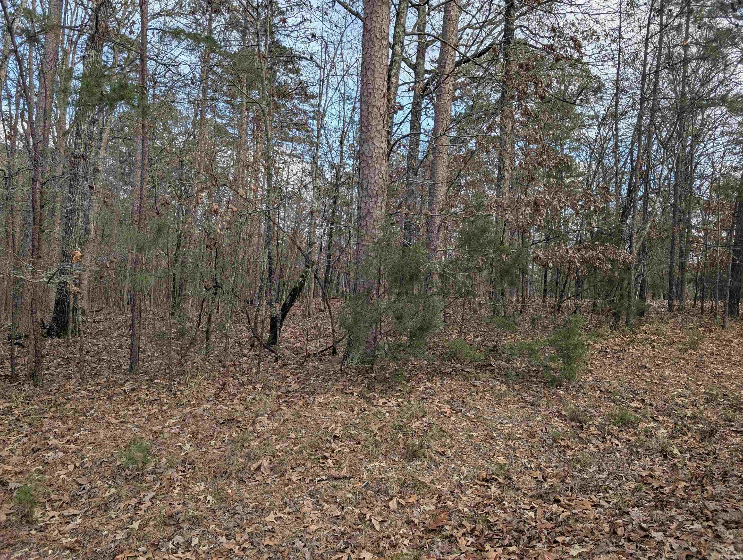 2 Morro  Hot Springs Village, AR