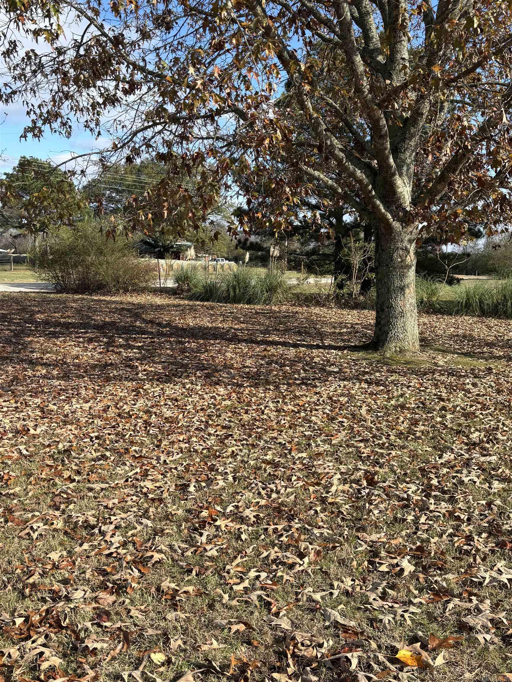 1617 Highway 26 East  Delight, AR