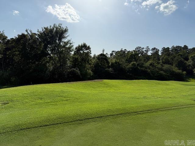 35 Jardinero Way  Hot Springs Village, AR