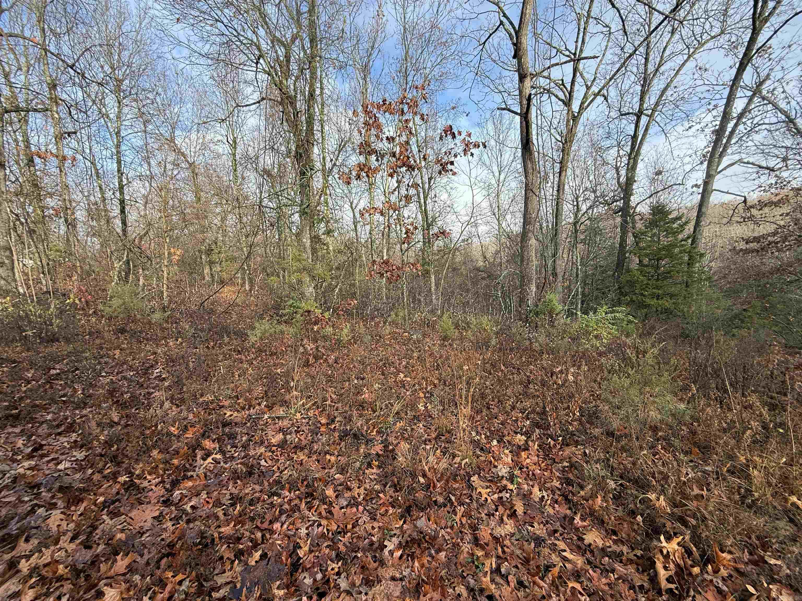  Dogwood Drive  Omaha, AR