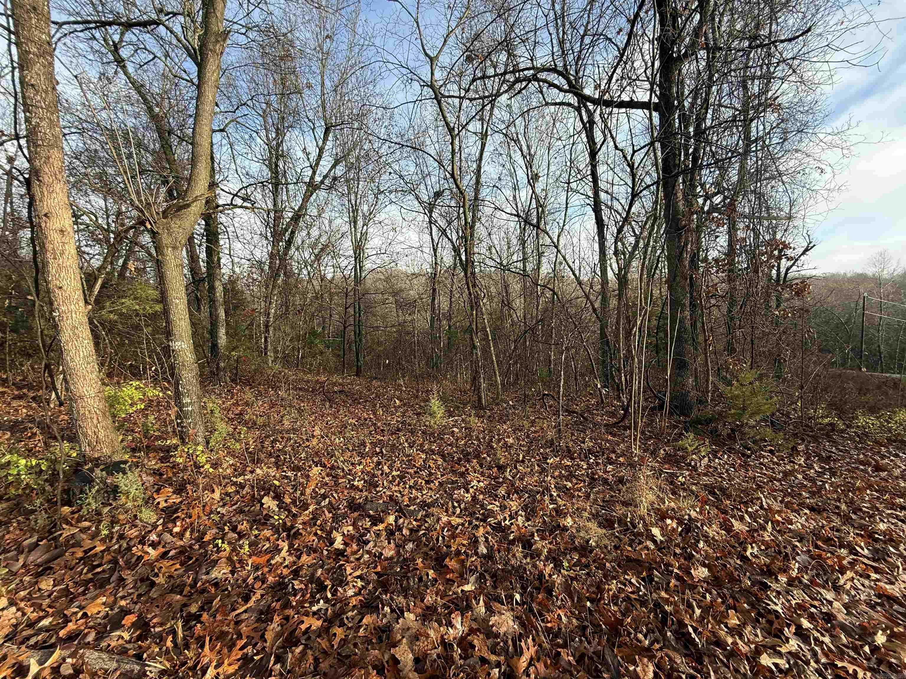  Dogwood Drive  Omaha, AR