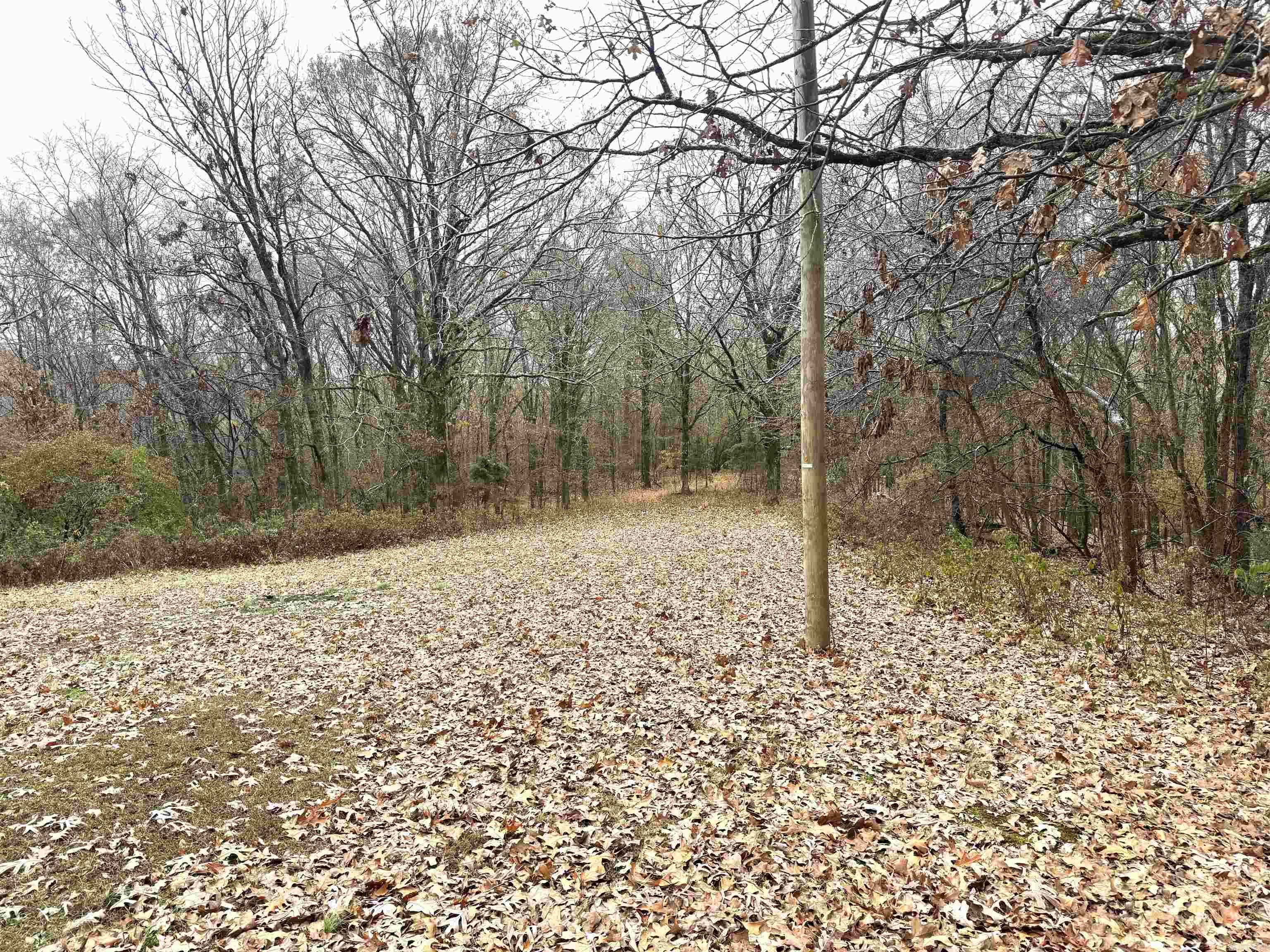 18812 Bay Village Rd  Cherry Valley, AR