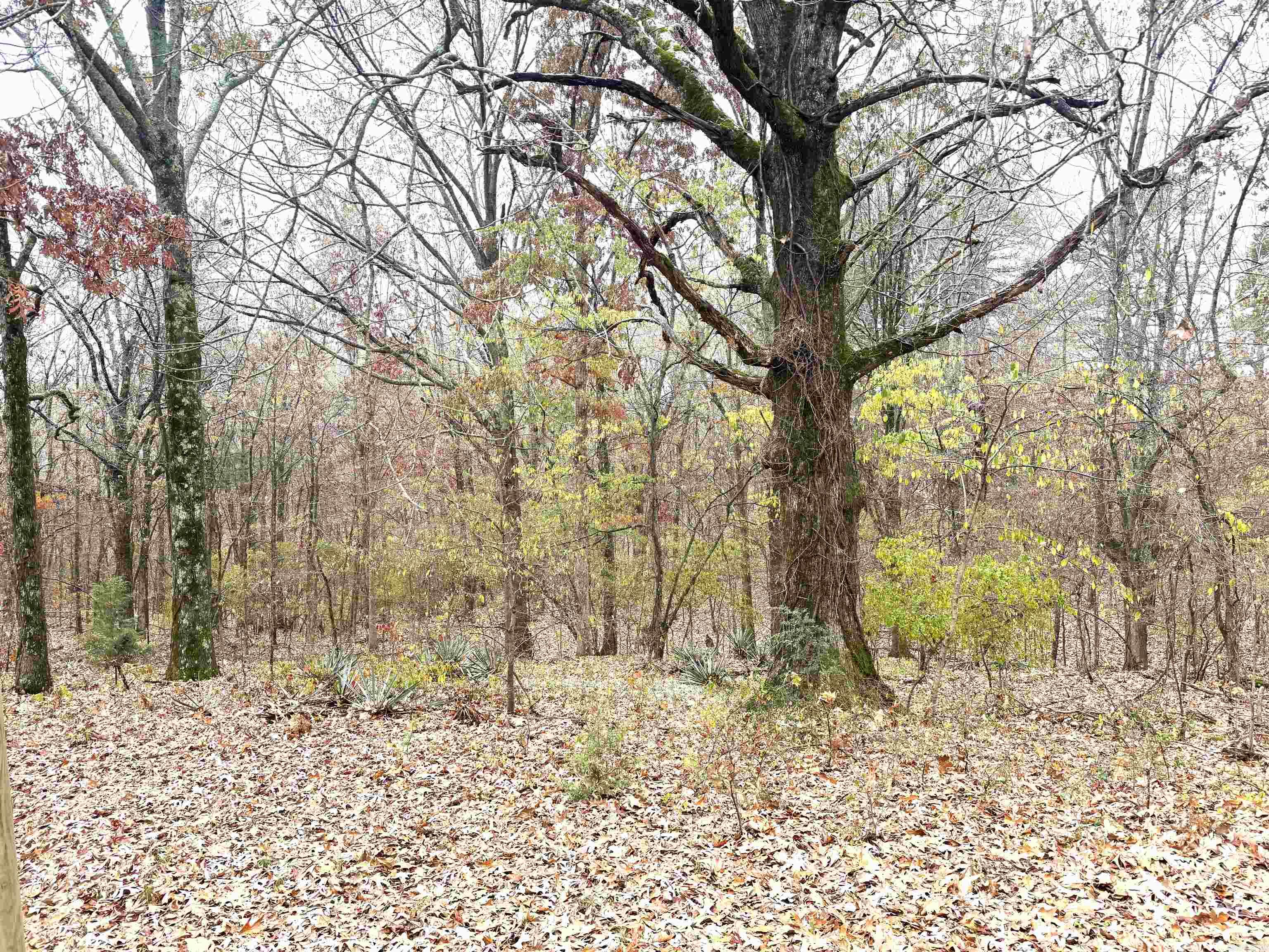 18812 Bay Village Rd  Cherry Valley, AR