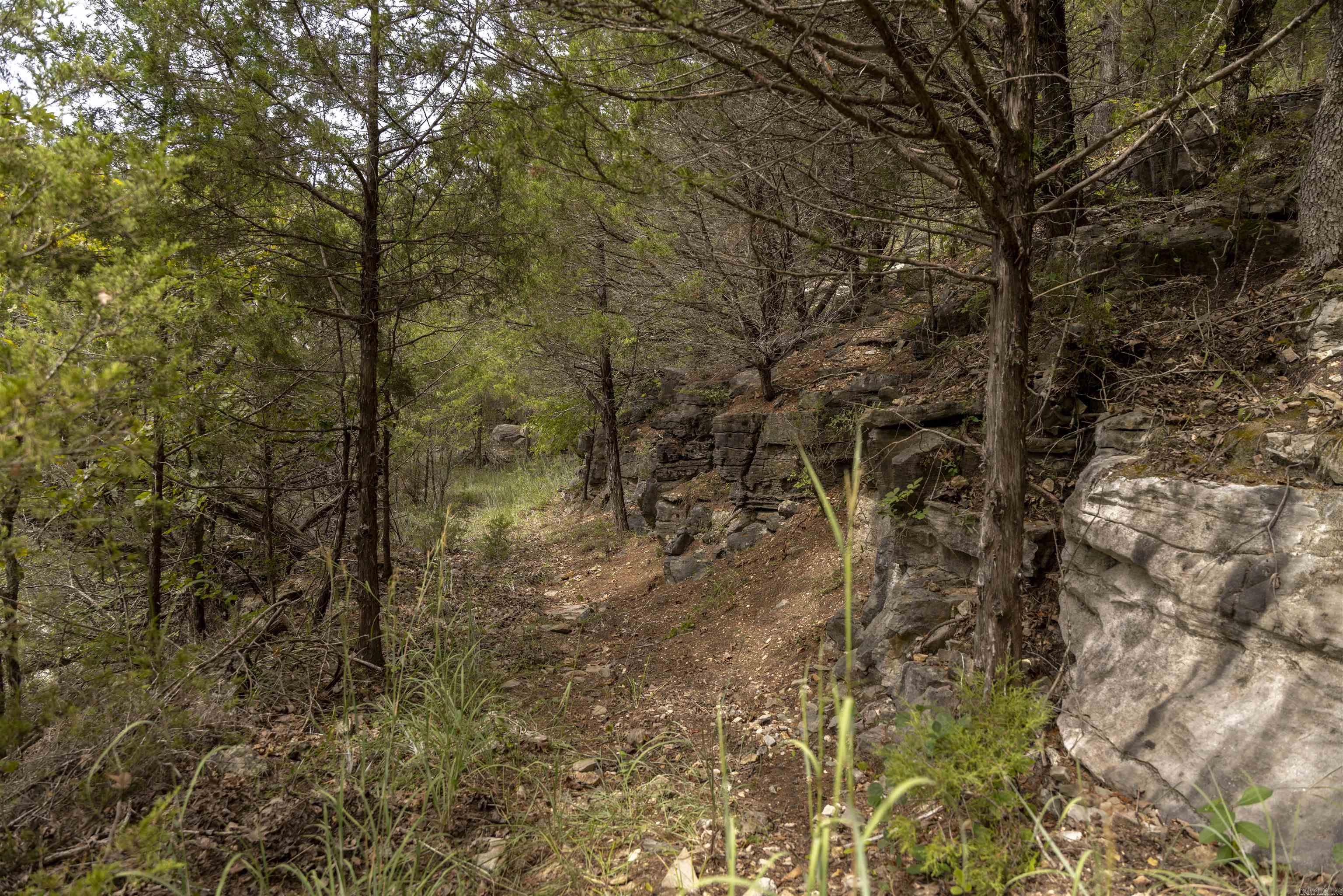 505 Clabber Lane  Yellville, AR