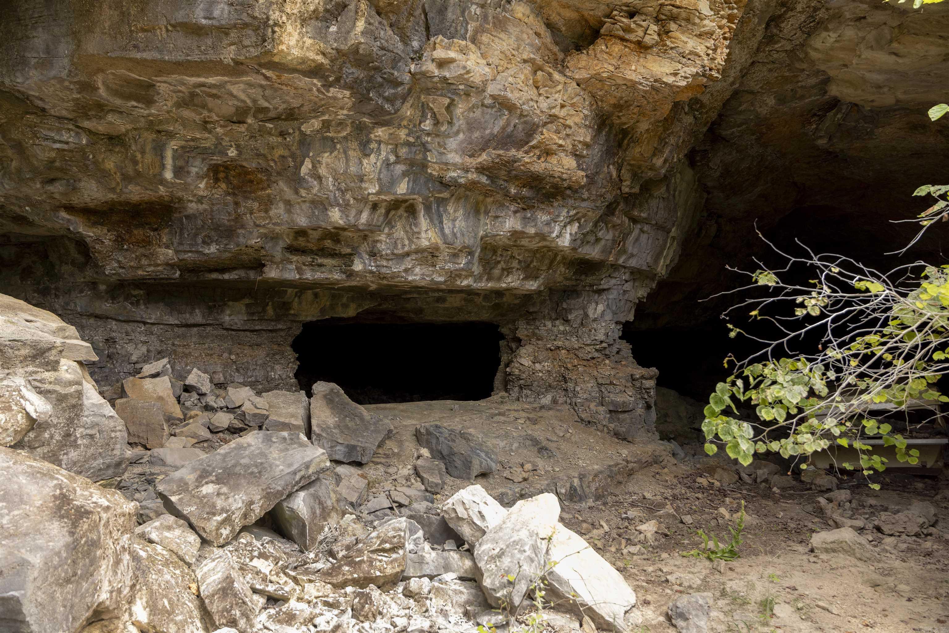 505 Clabber Lane  Yellville, AR