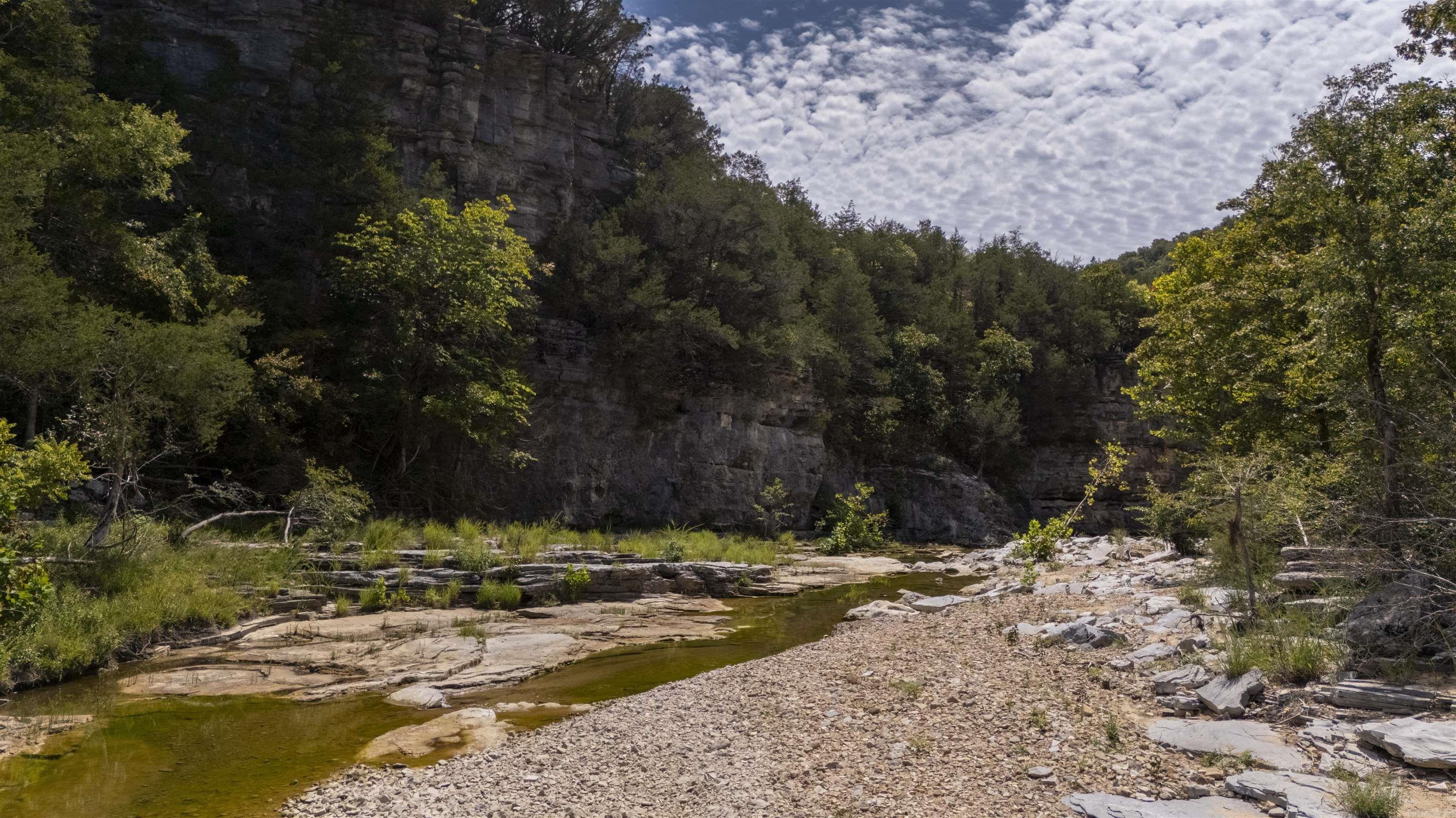 505 Clabber Lane  Yellville, AR