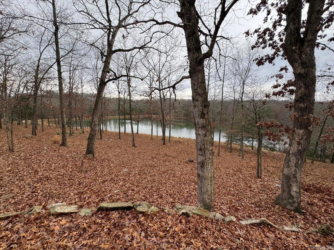 910 Nelsonville  Smithville, AR