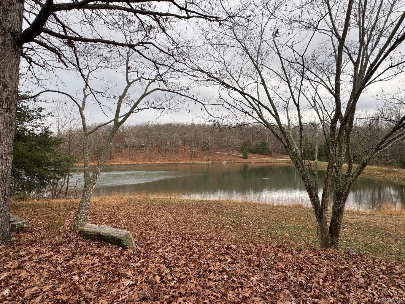 910 Nelsonville  Smithville, AR