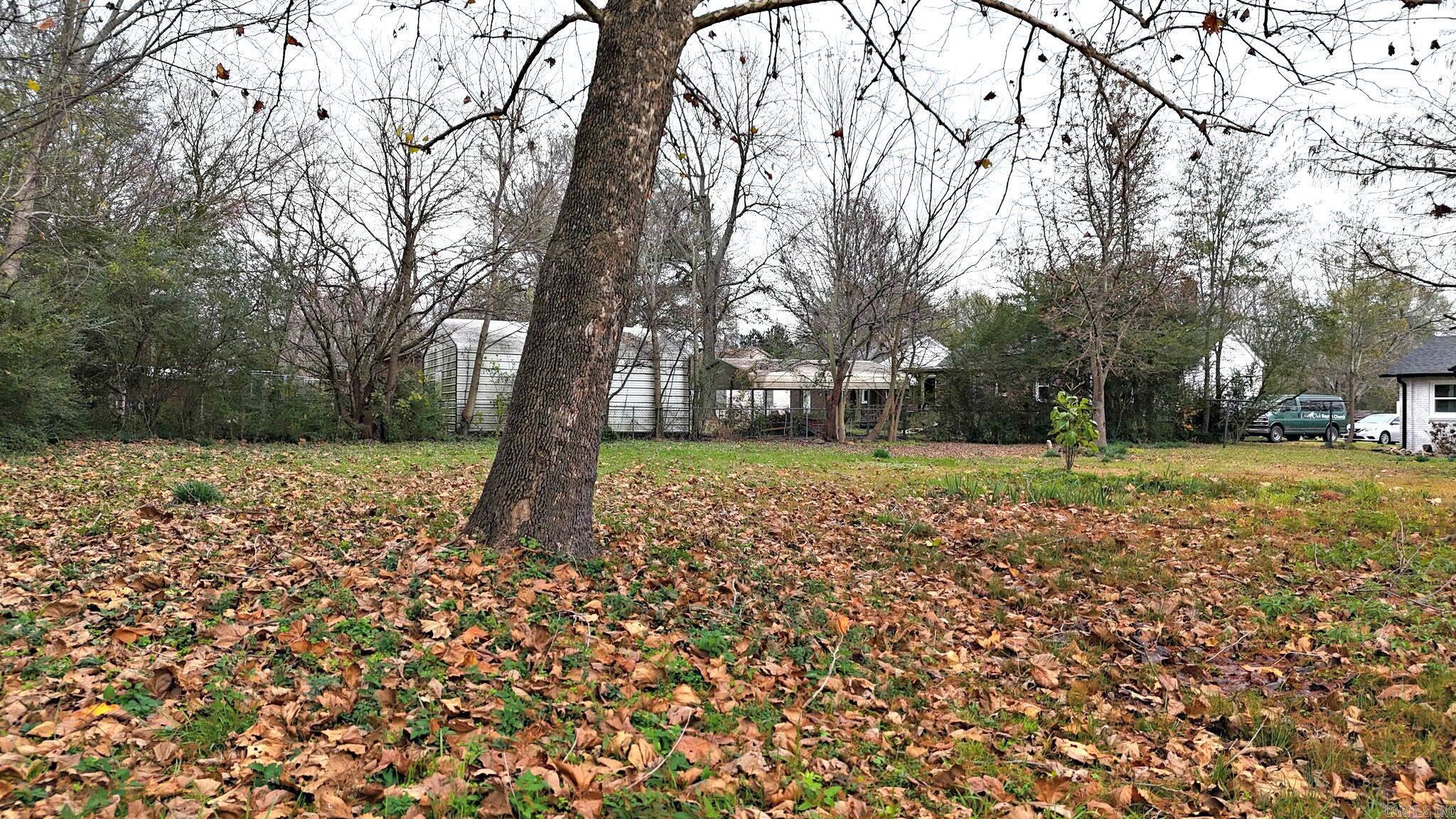 1311 Reeves Ave  Mena, AR