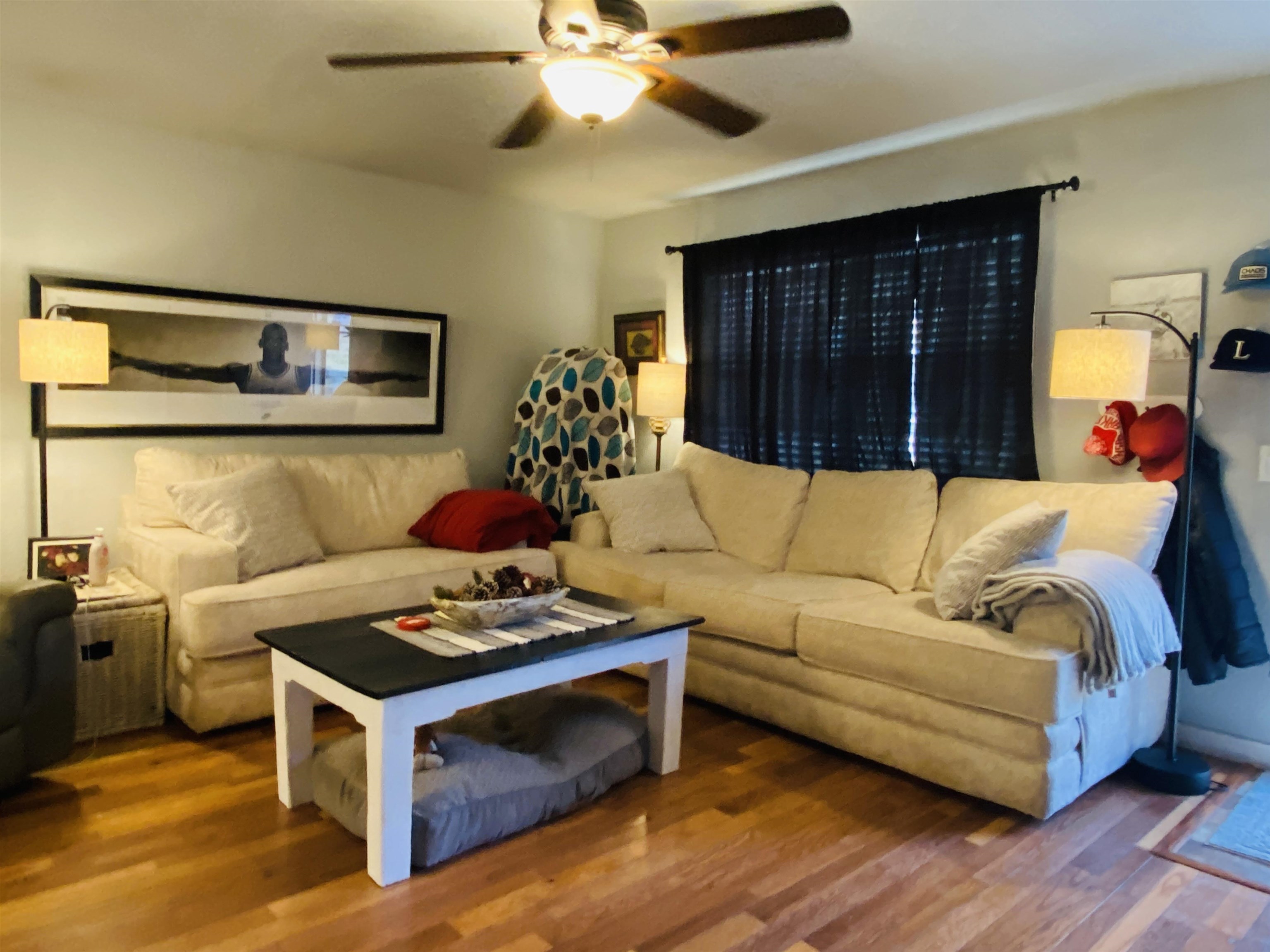 196 McSpadden Road  Mount Pleasant, AR